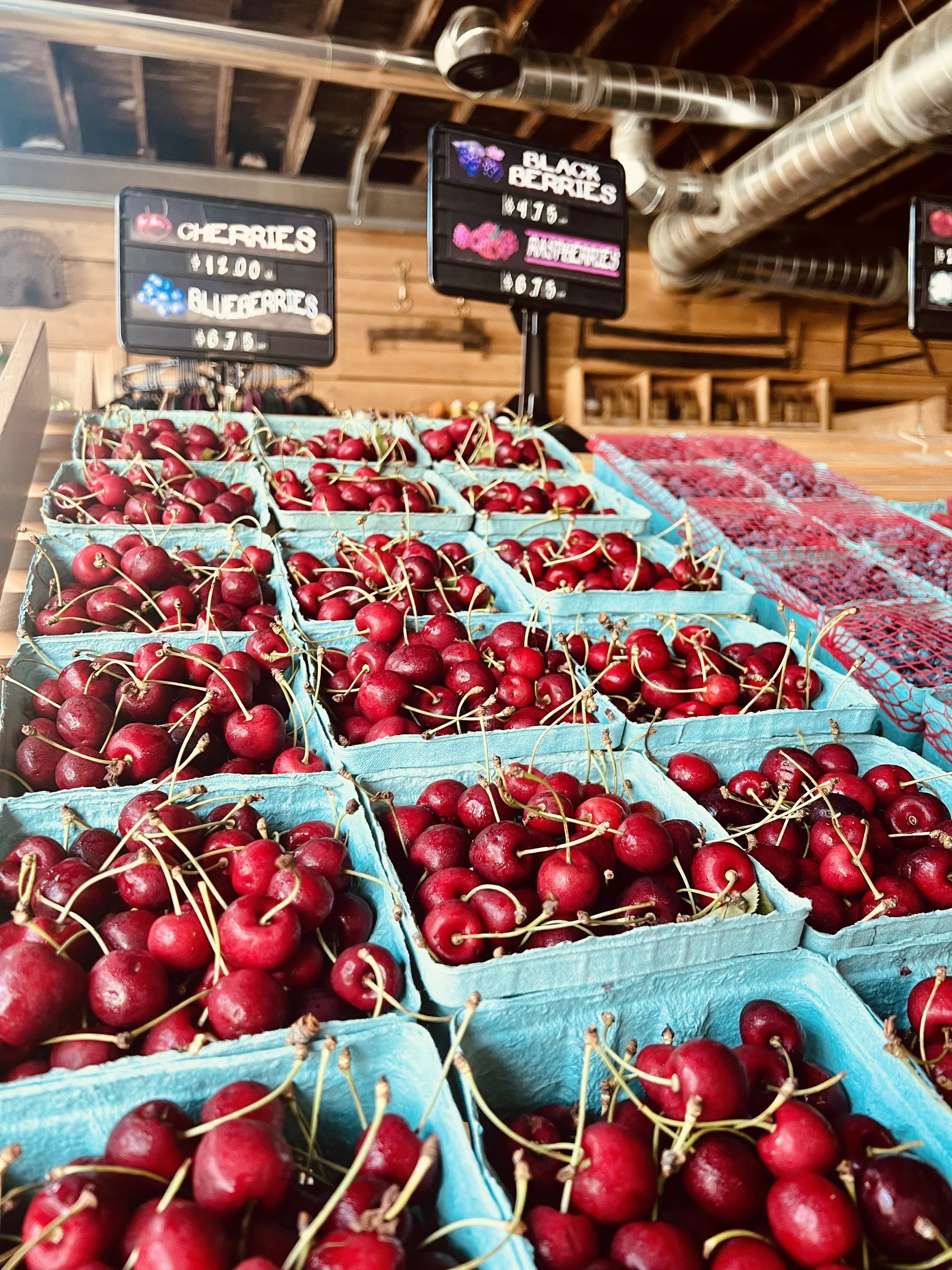 cherries for real.jpg