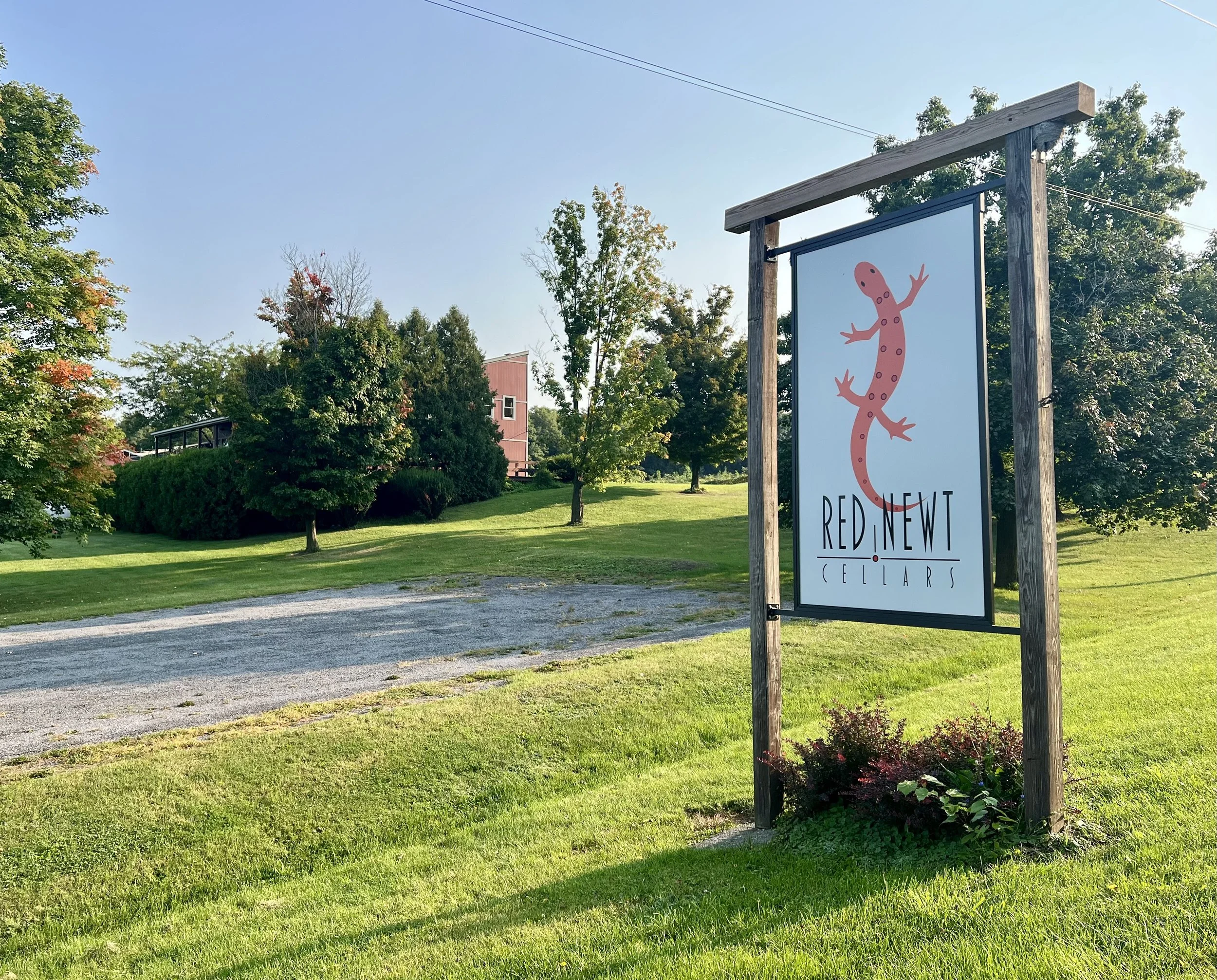 Sign for Red Newt Cellars with a pink gecko illustration on a light blue background, set in a grassy area with trees and a gravel driveway in the background.