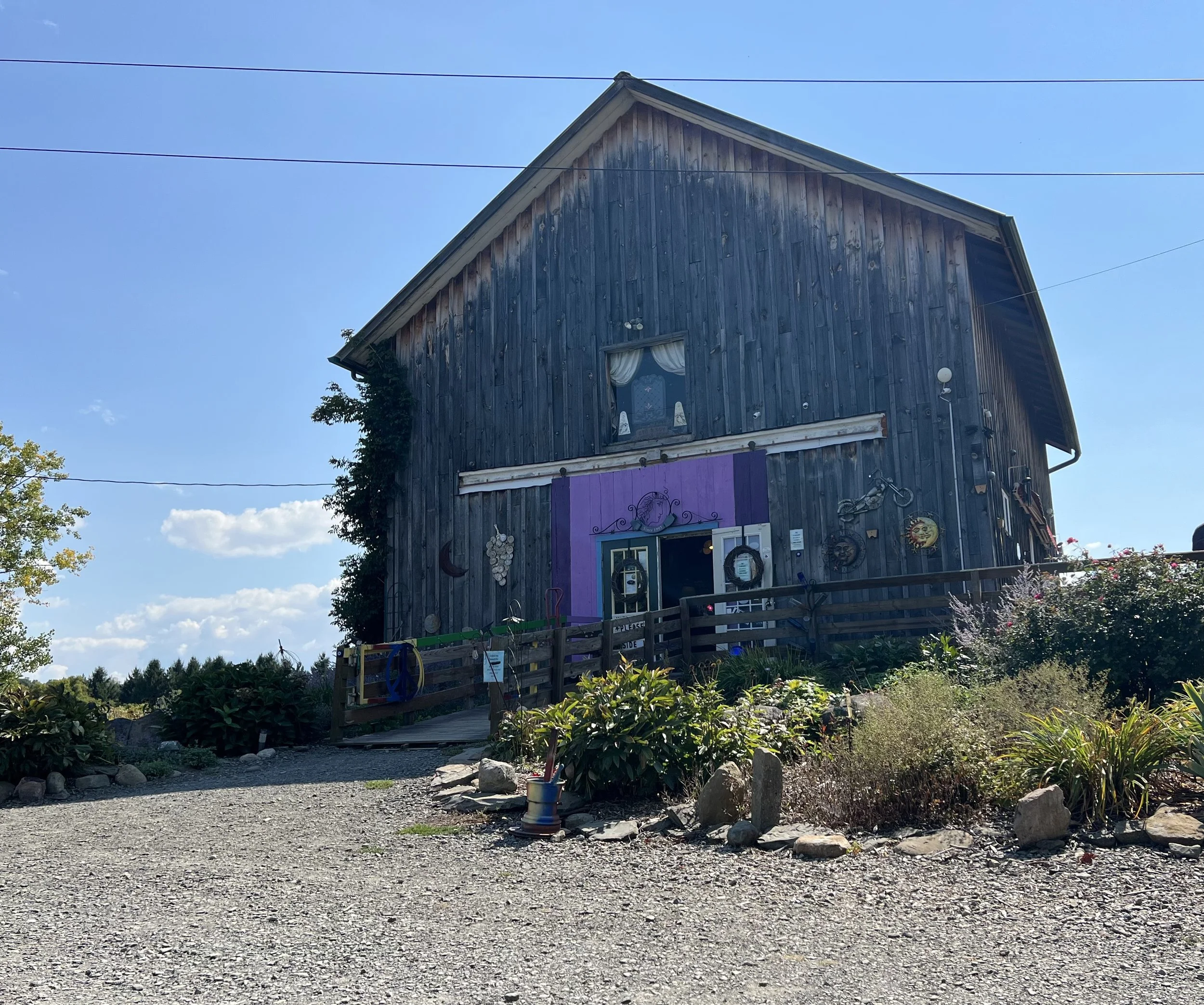 A rustic wooden building with a purple door, outdoor decorations, and a ramp leading up to the entrance, situated in a garden with plants and rocks under a clear blue sky.