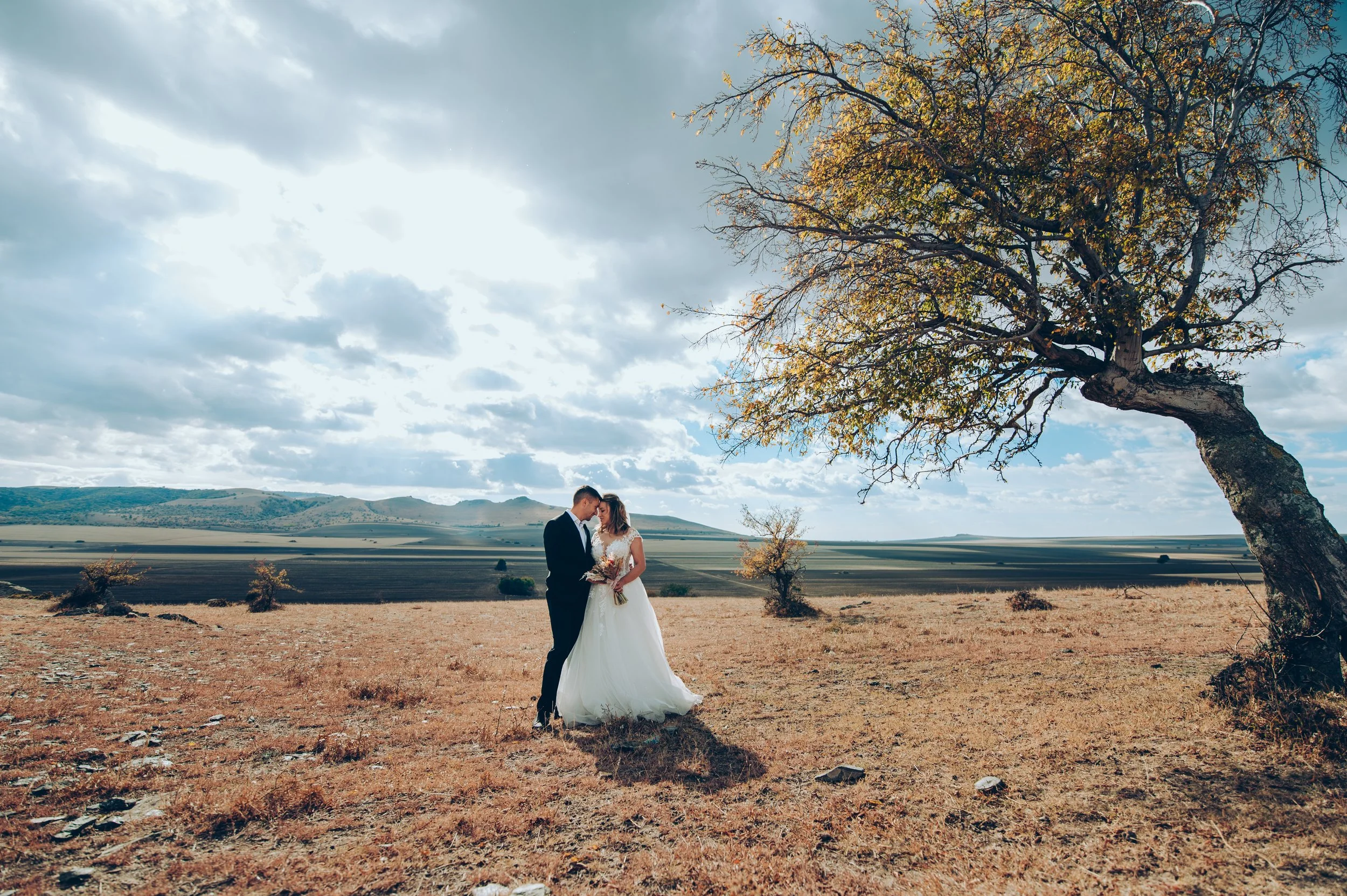 Camelia & Daniel 1363.jpg