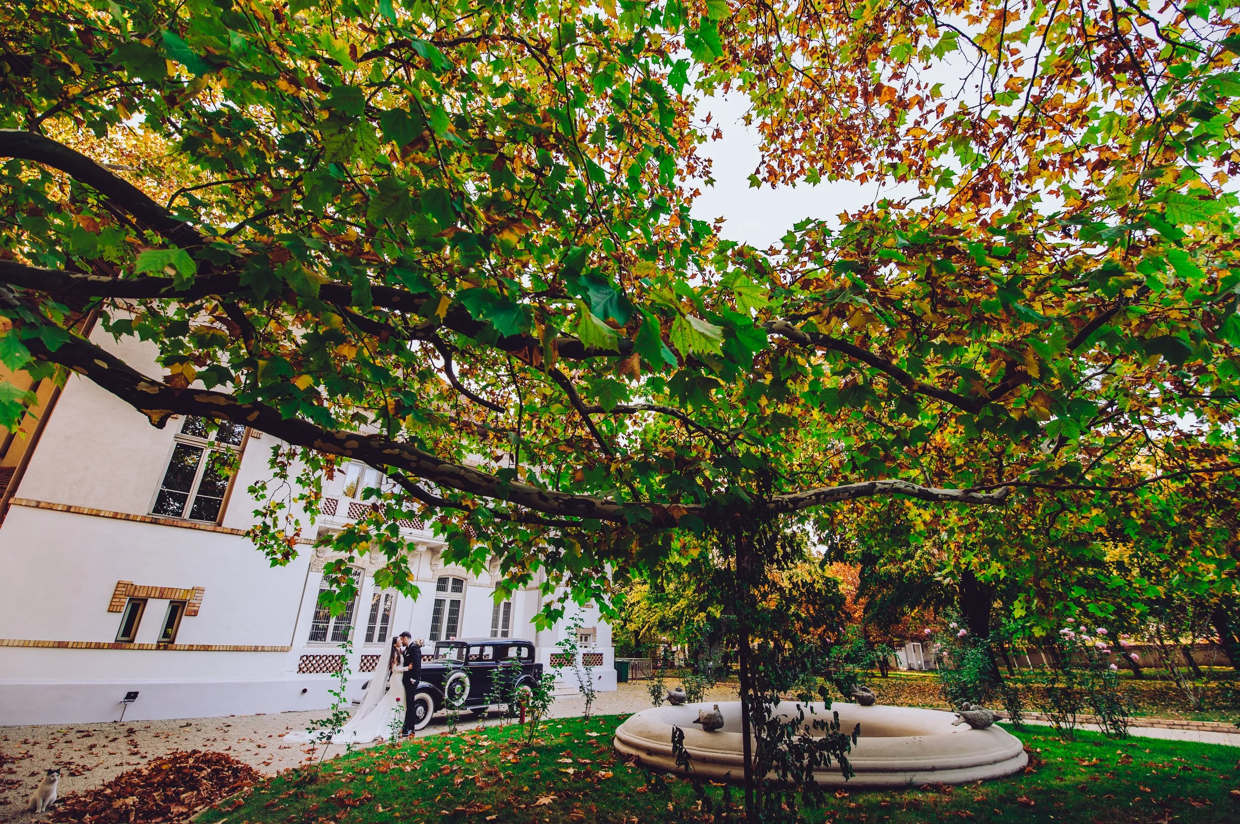 fotografie de nunta la domeniul manasia