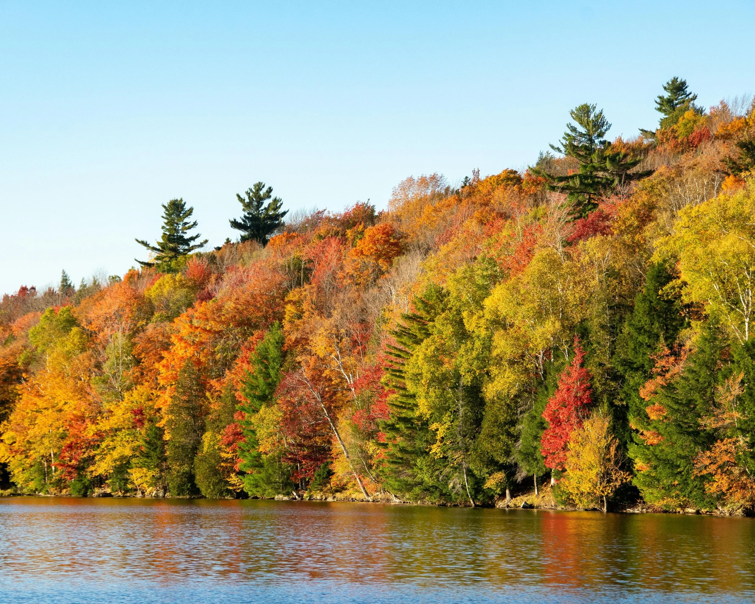 Fall Foliage Cruise on Lake George