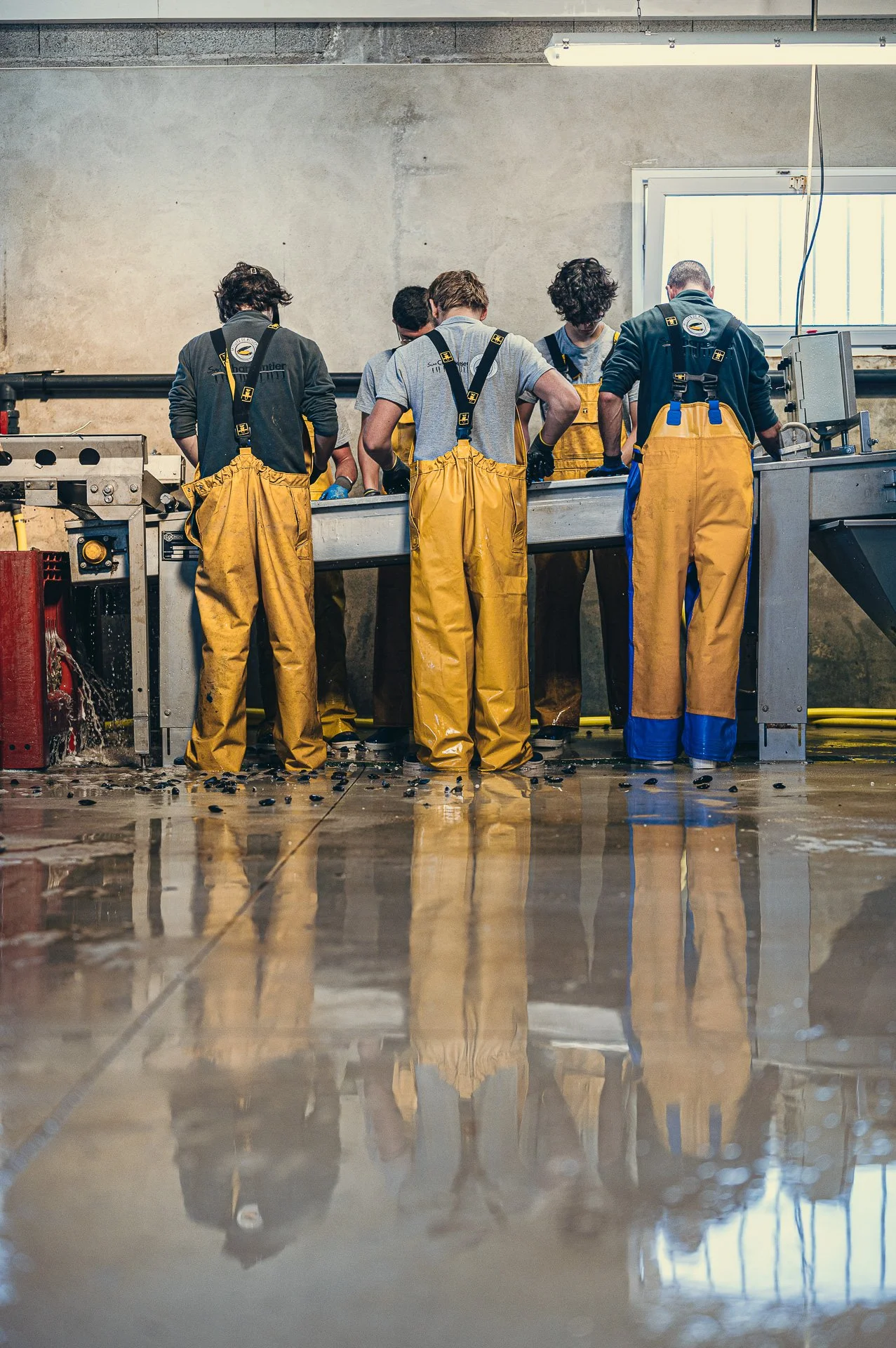 Mytiliculture / La Plaine sur Mer