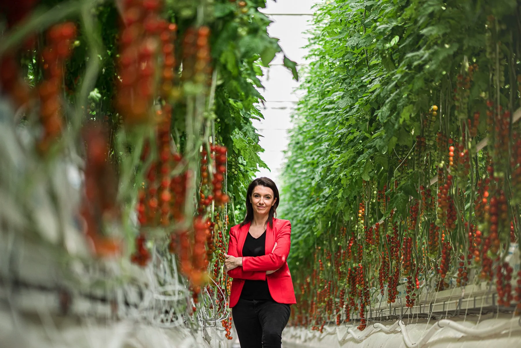 Une femme portant un blazer rouge et un haut noir dans une serre remplie de plants de tomates.