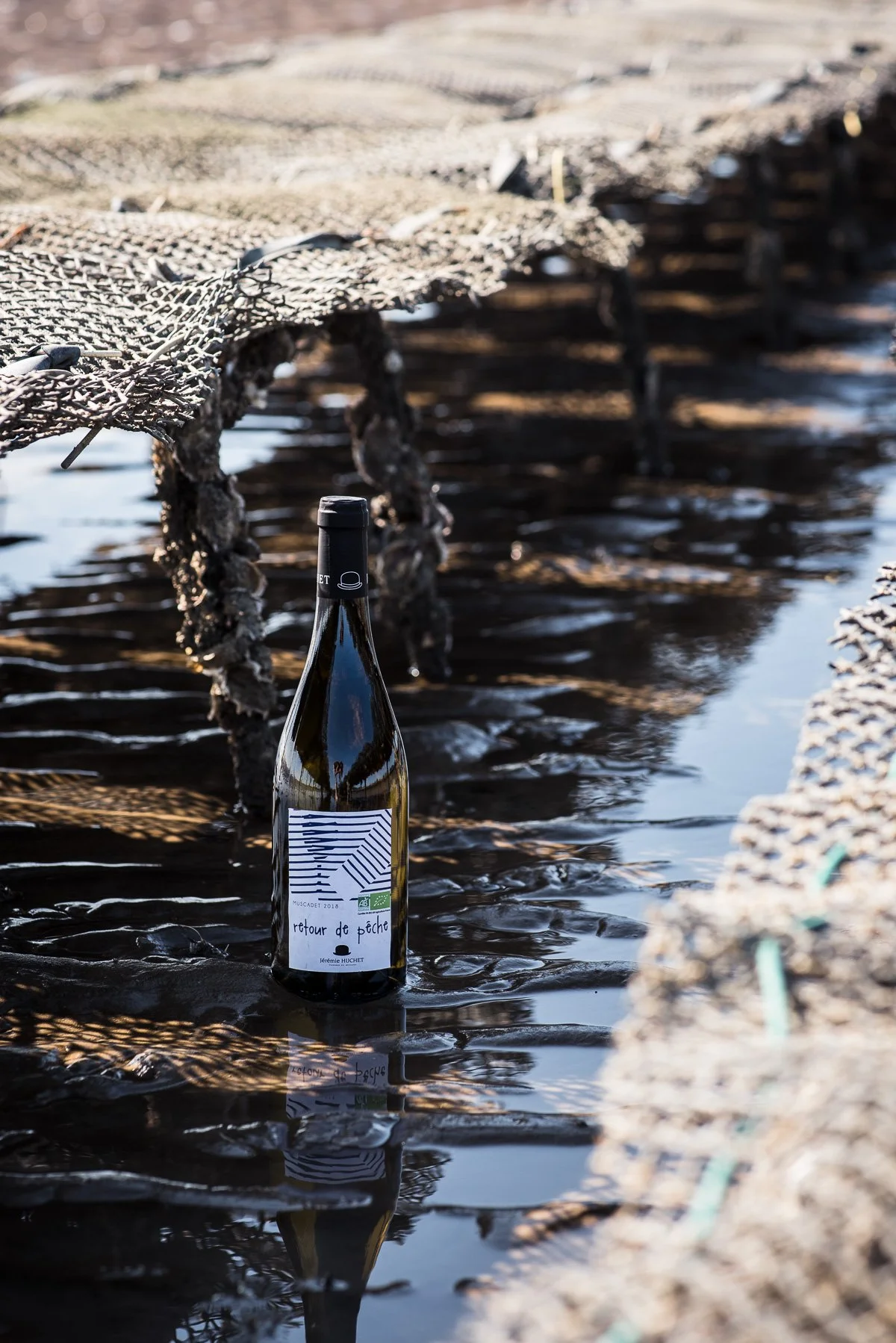 Une bouteille de vin posée dans une étendue d'eau sombre, avec une structure en bois ou en métal recouverte d'une toile ou d'un filet au-dessus, probablement une zone de marais ou un étang, sous une lumière naturelle.