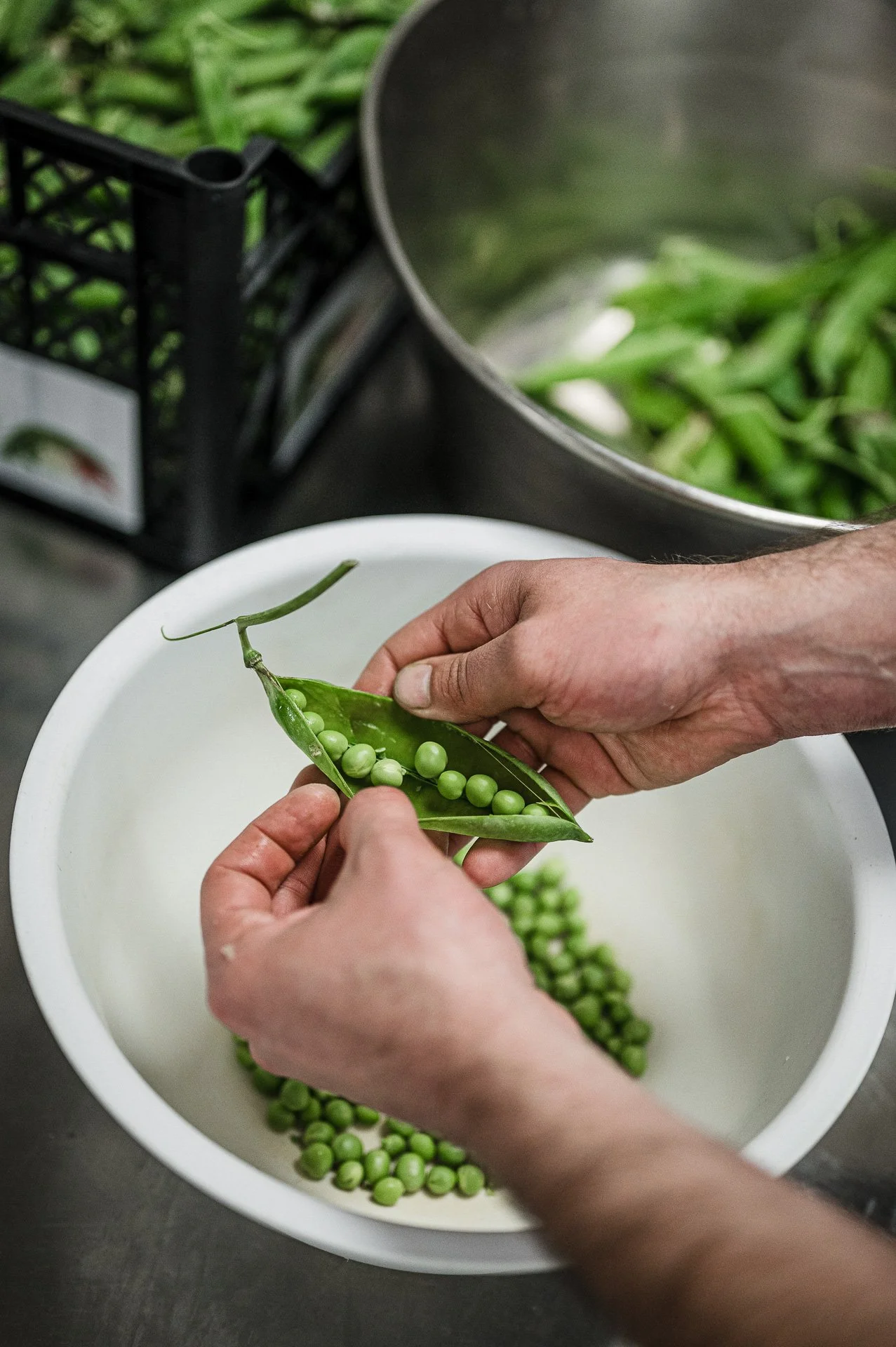 Le Saint Paul / Préfailles