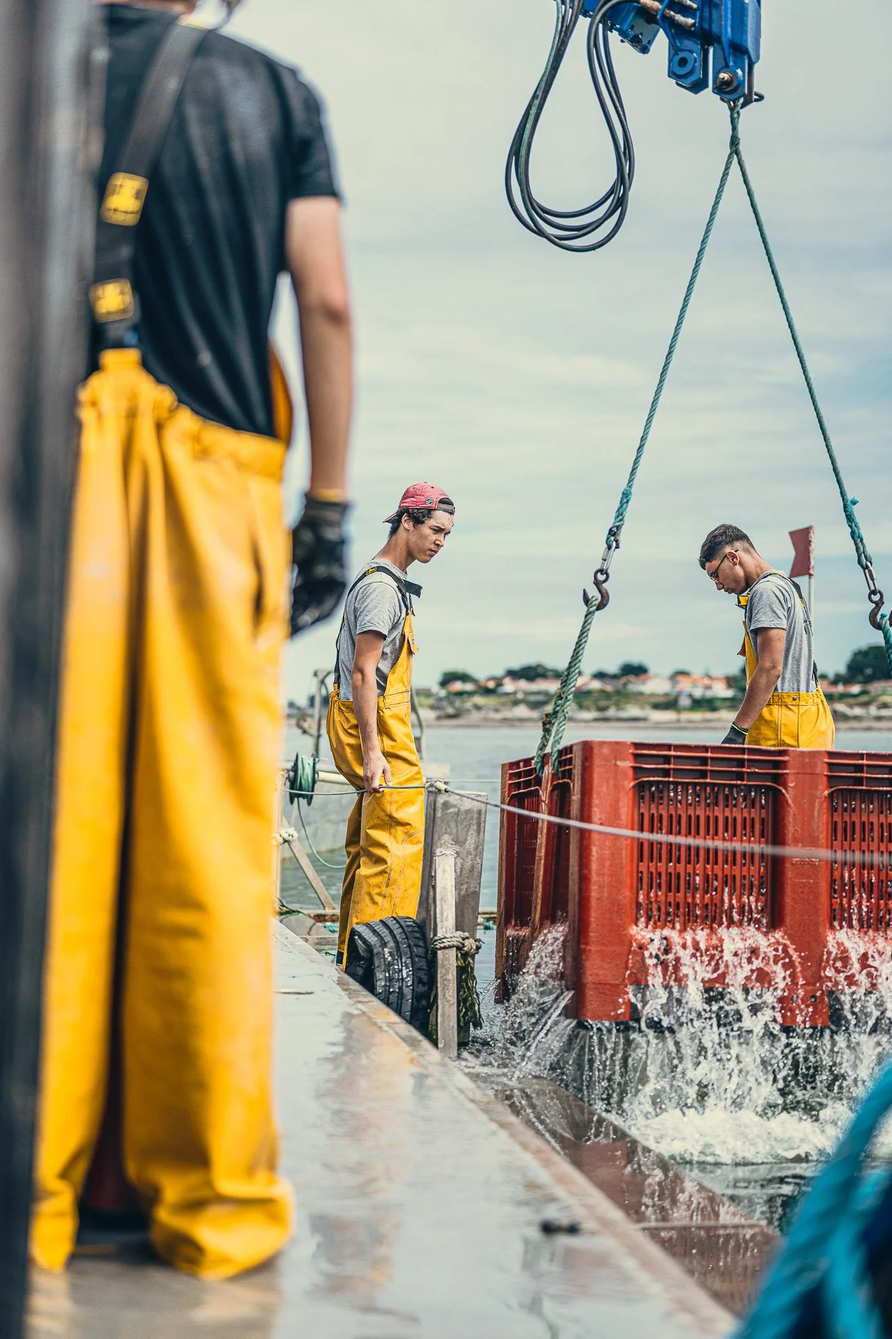 Mytiliculture / La Plaine sur Mer