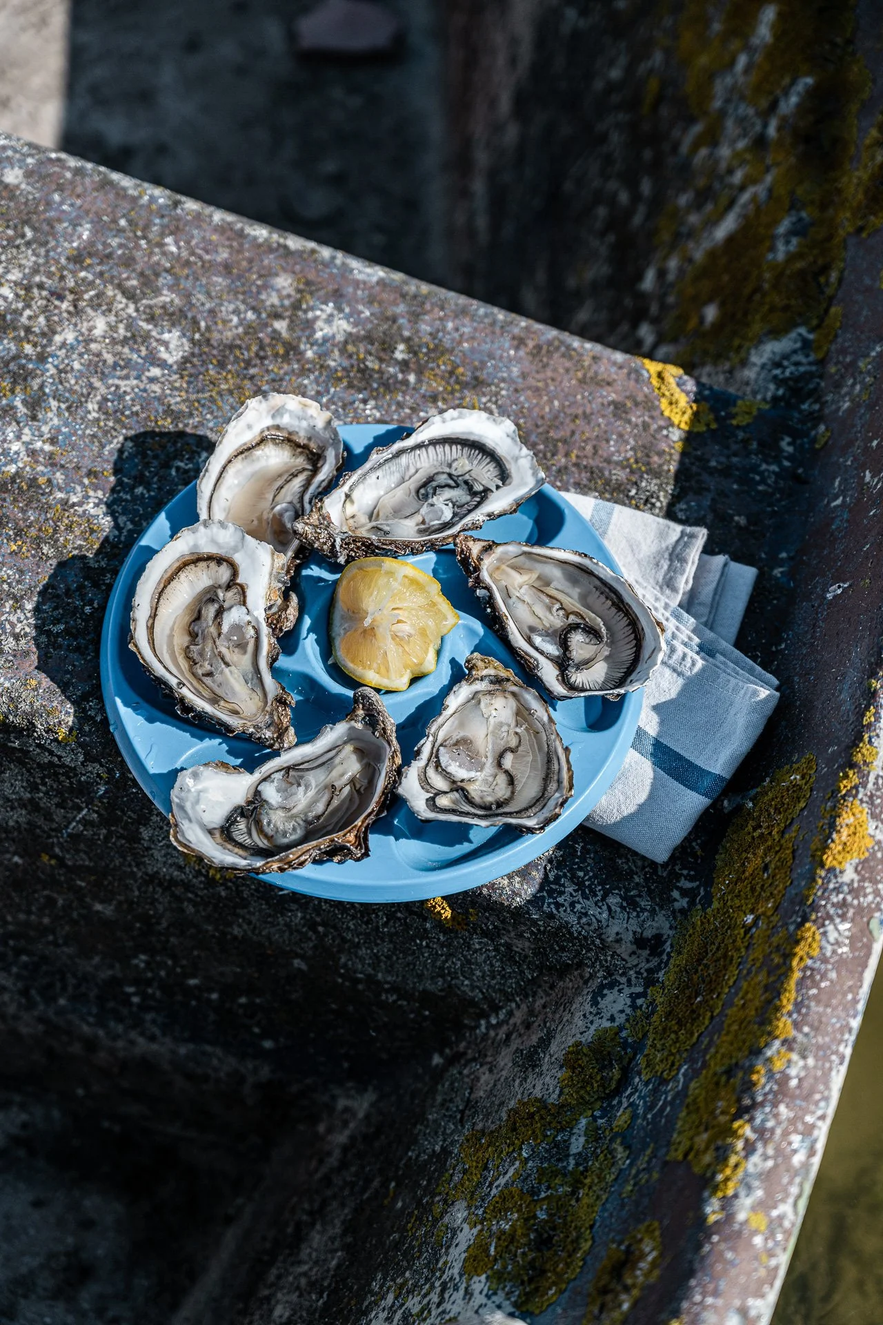 Ostréiculture / Vendée