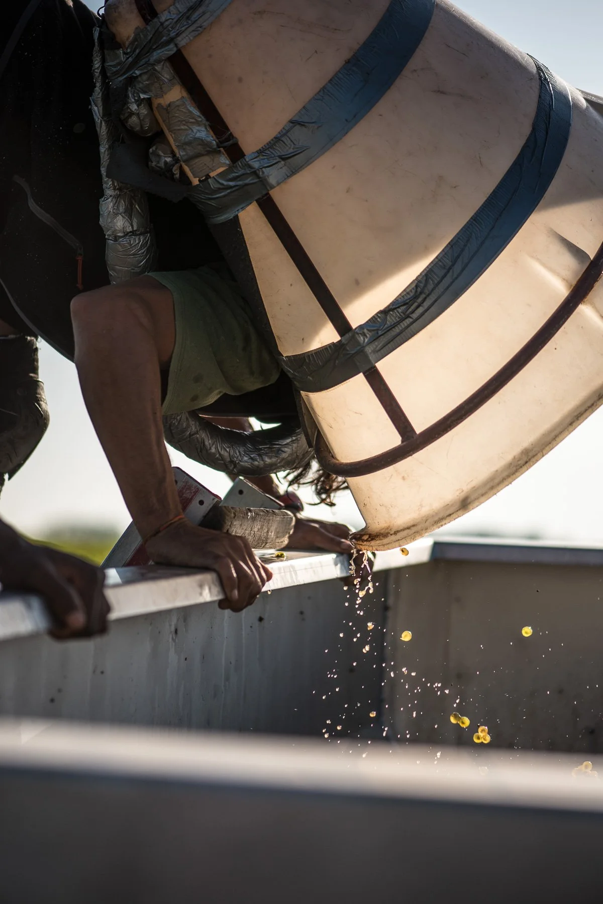 Une personne incline un grand seau blanc pour verser de l'eau dans un bac, l'eau goutte du seau.