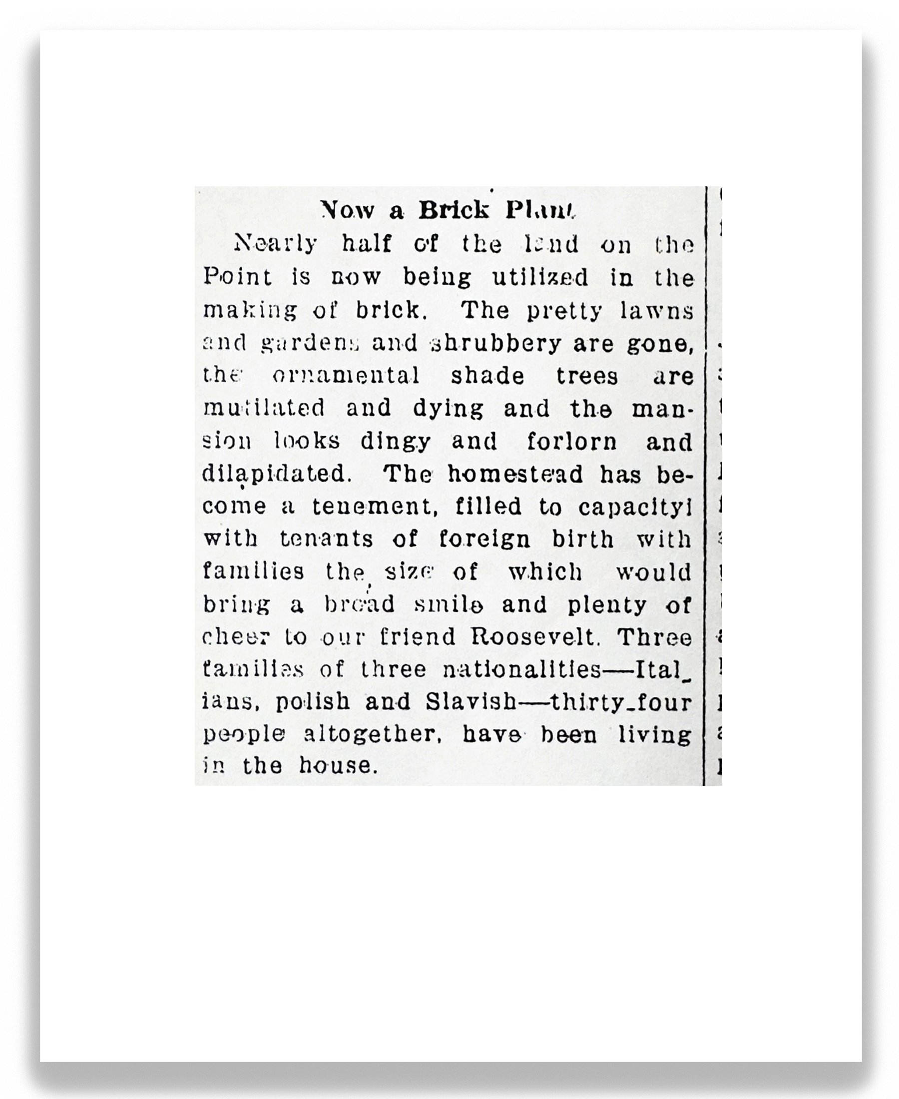 Now a Brick Plant, 2026, inkjet print on archival paper mounted on wood panel, 10 in x 8 in.