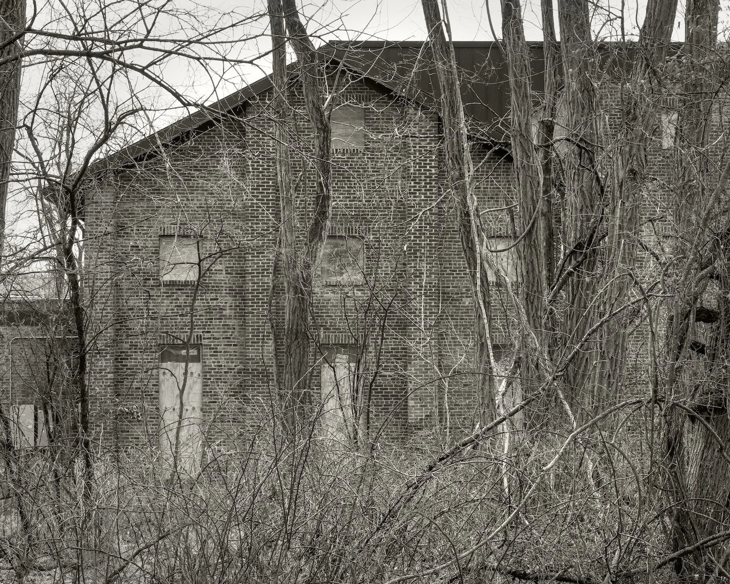 North Façade, 2026, archival pigment print, 20 in. x 24 in.