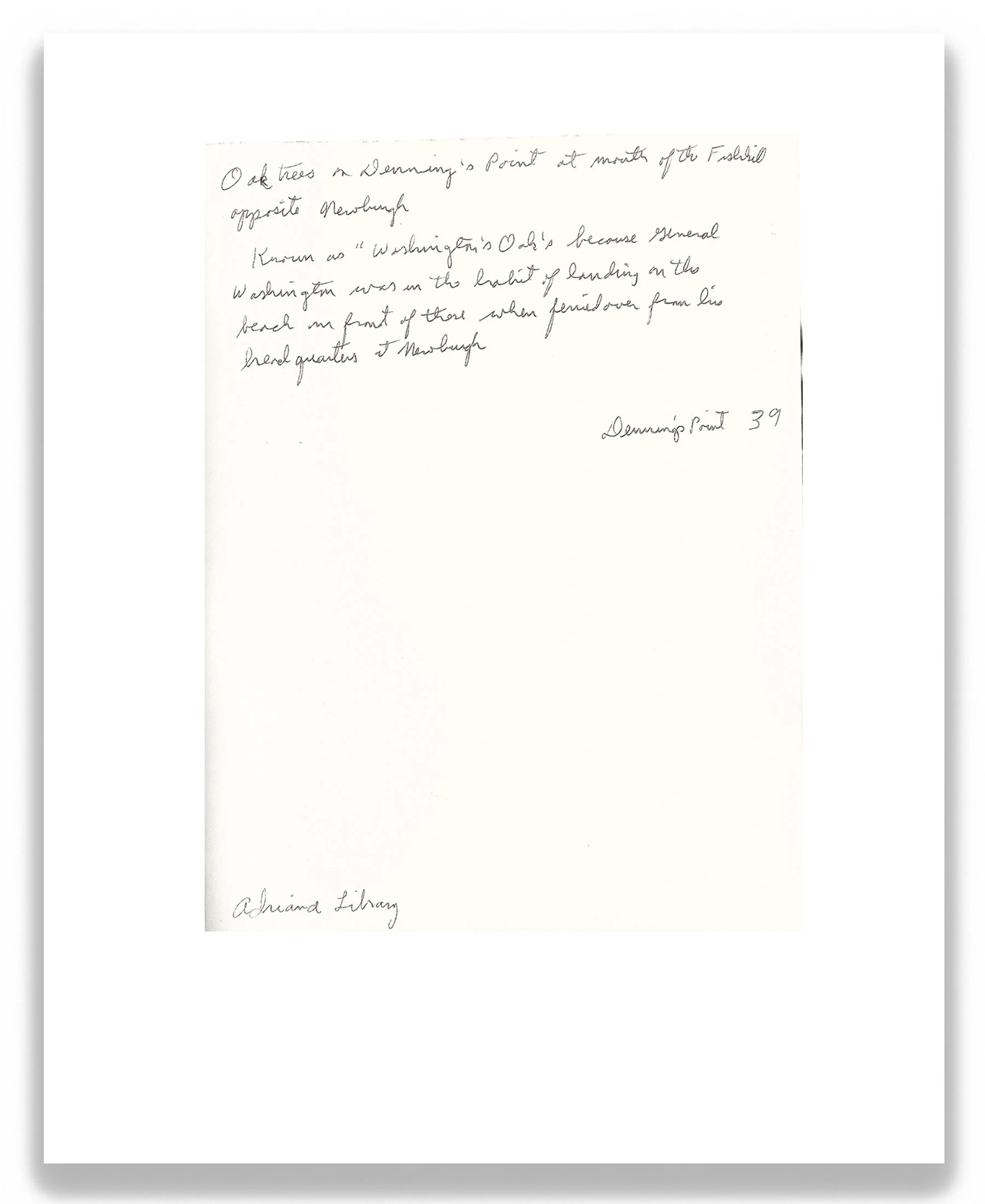 Sitting Beneath a Washington Oak (verso), 2026, inkjet print on archival paper mounted on wood panel, 10 in x 8 in.