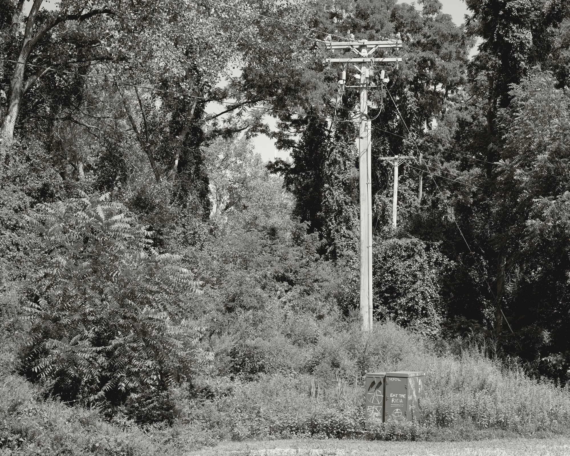 Eat the Rich, 2025, archival pigment print, 20 in. x 25 in.