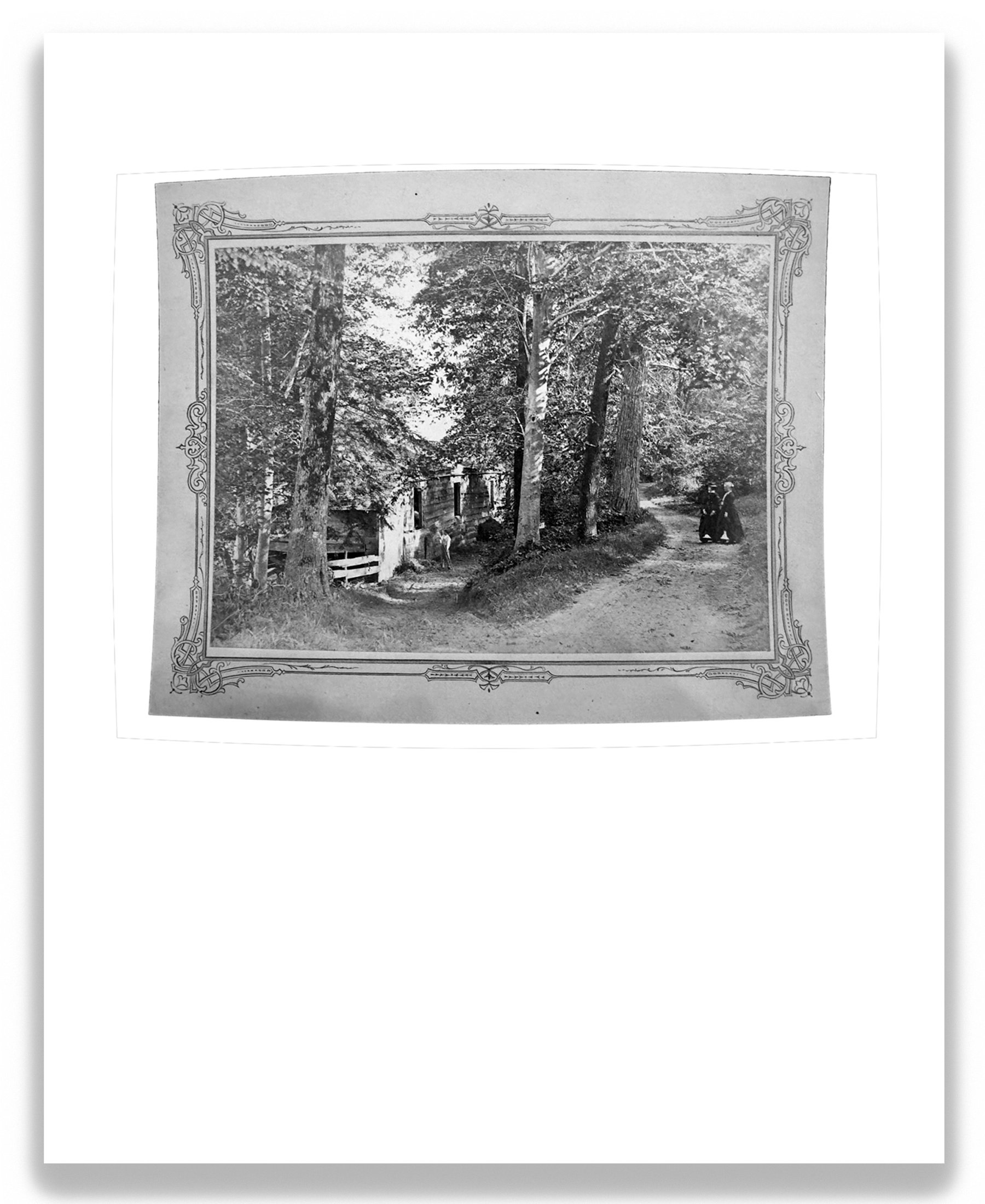 Working at Presqu'ile (recto), 2026, inkjet print on archival paper mounted on wood panel, 10 in x 8 in.