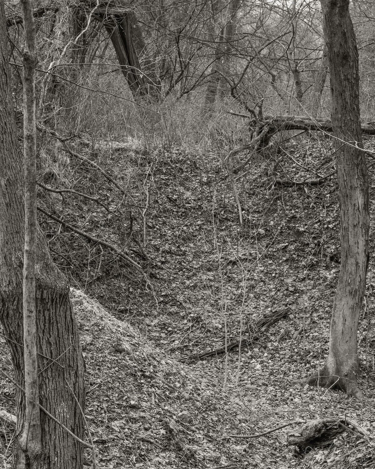Mound, 2026, archival pigment print, 20 in. x 24 in.