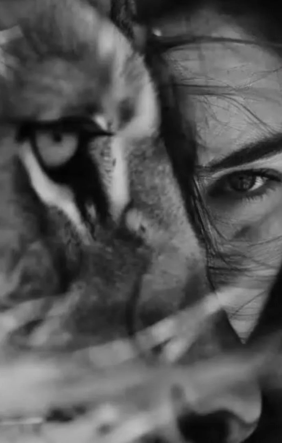 Wild Rage Rising