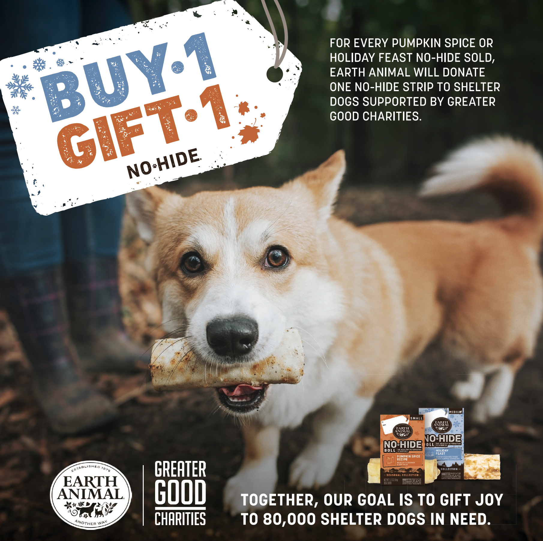 Screenshot 2024-09-12 at 3.16.50 PM.png