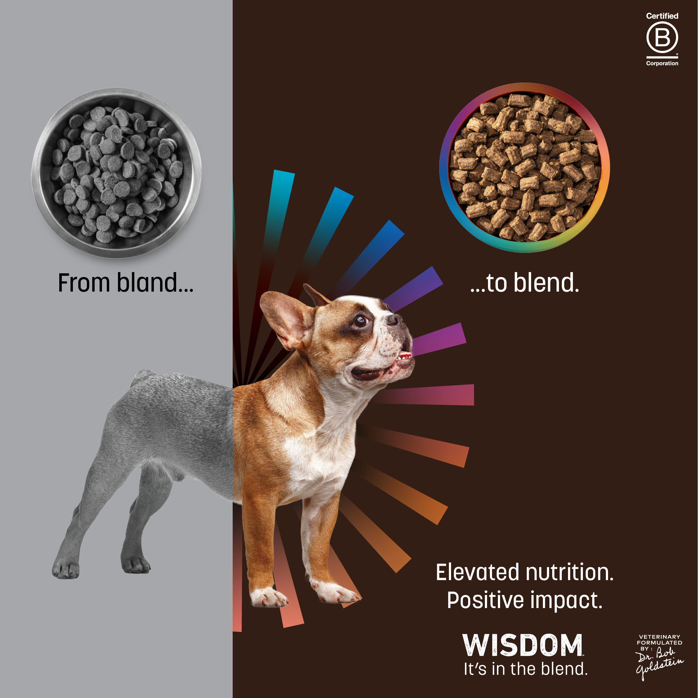 FROM_BLAND_TO_BLEND_DGL_7.24-01 copy.png