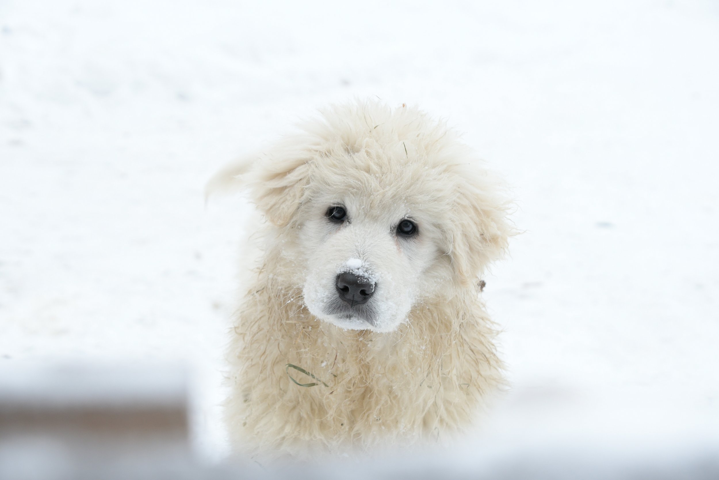 FRESH EYE FARM Dec 2017-286.jpg