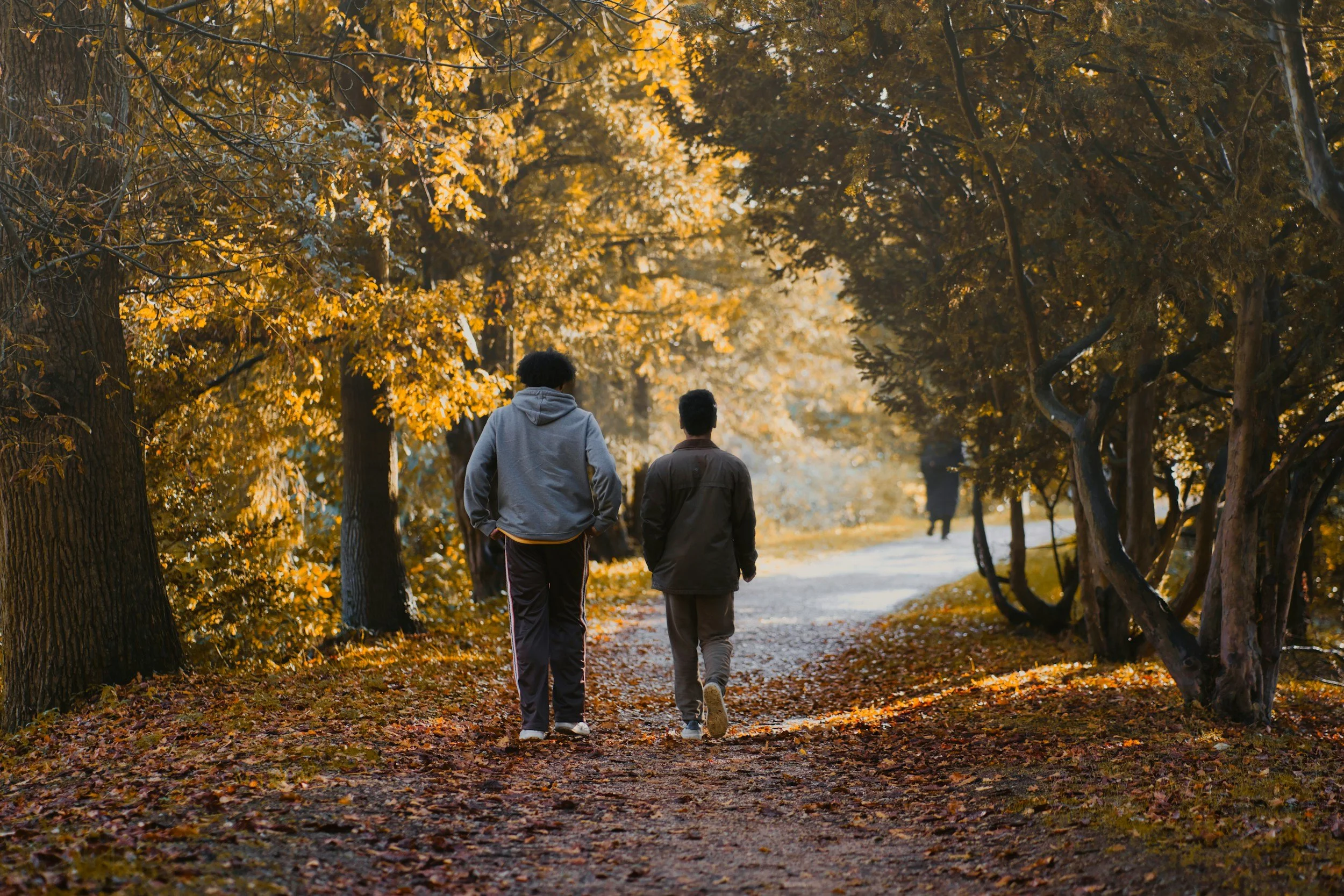 unsplash-image-l-bzN5Pxhxg.jpg