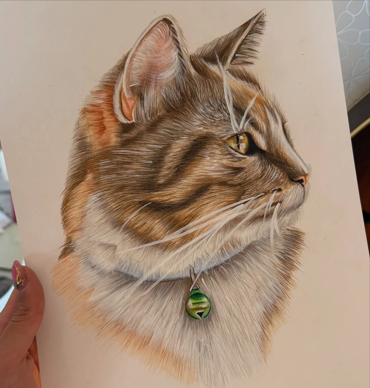 Totally forgot to post these drawings I made as a present for my family 🐱