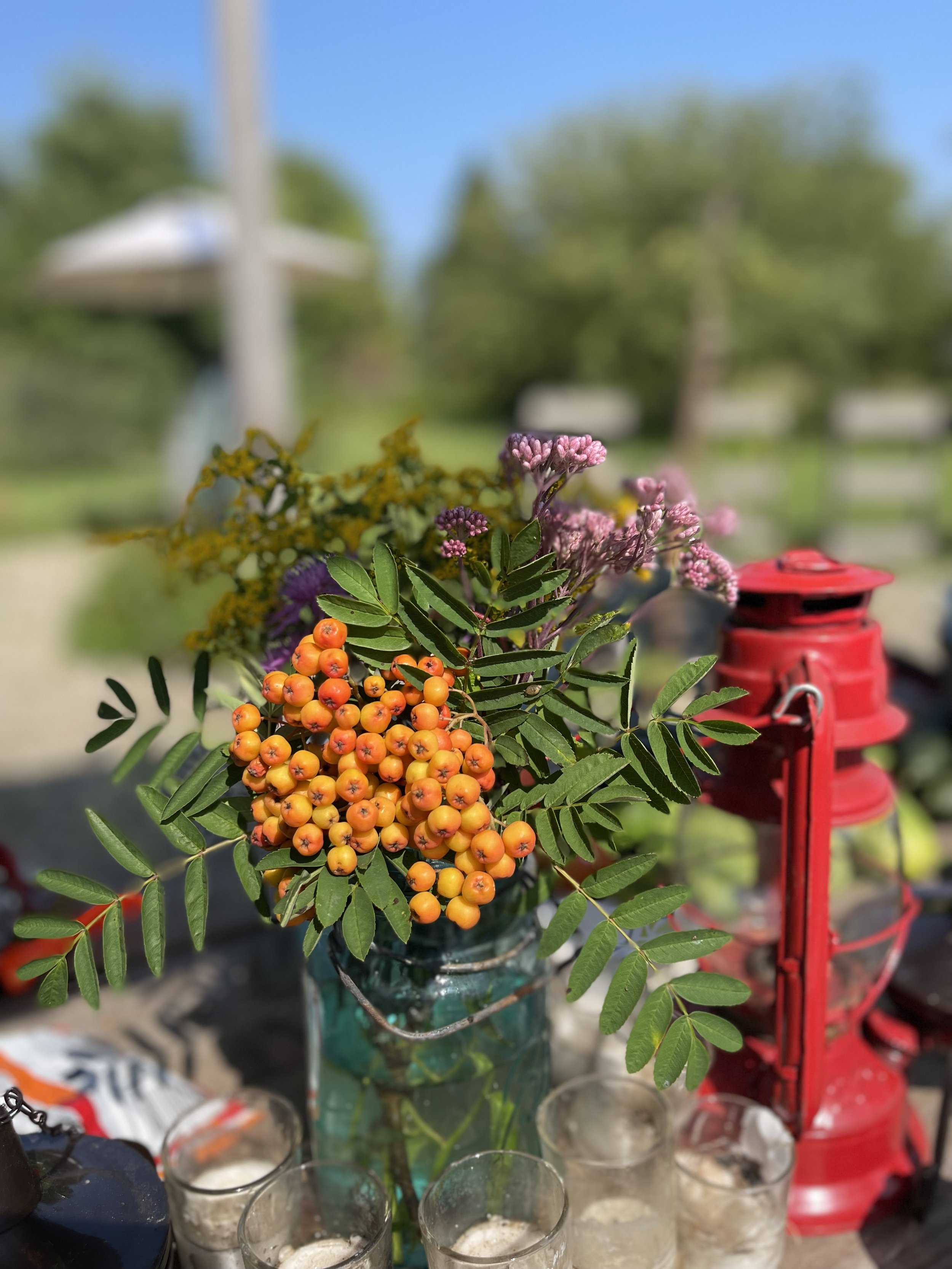 IMG_6820.jpeg