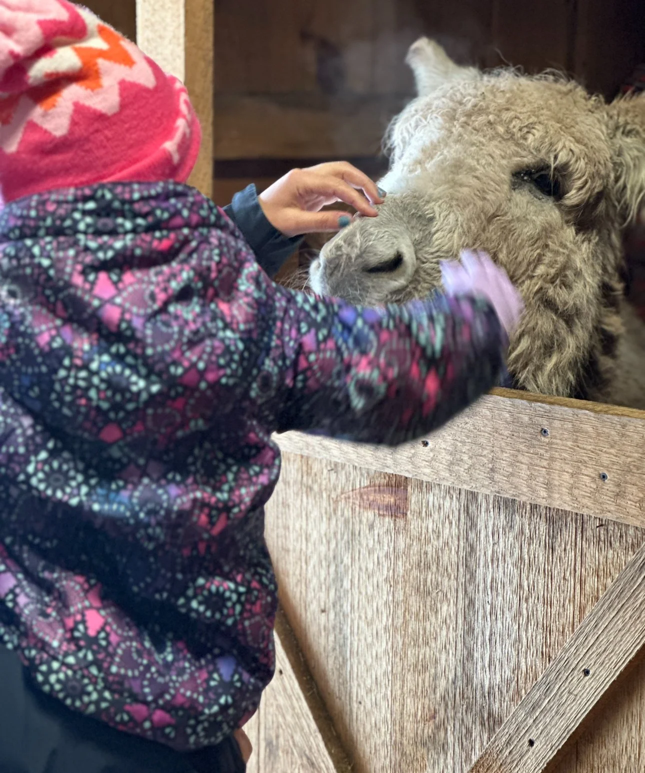 1pm Visit with Santa