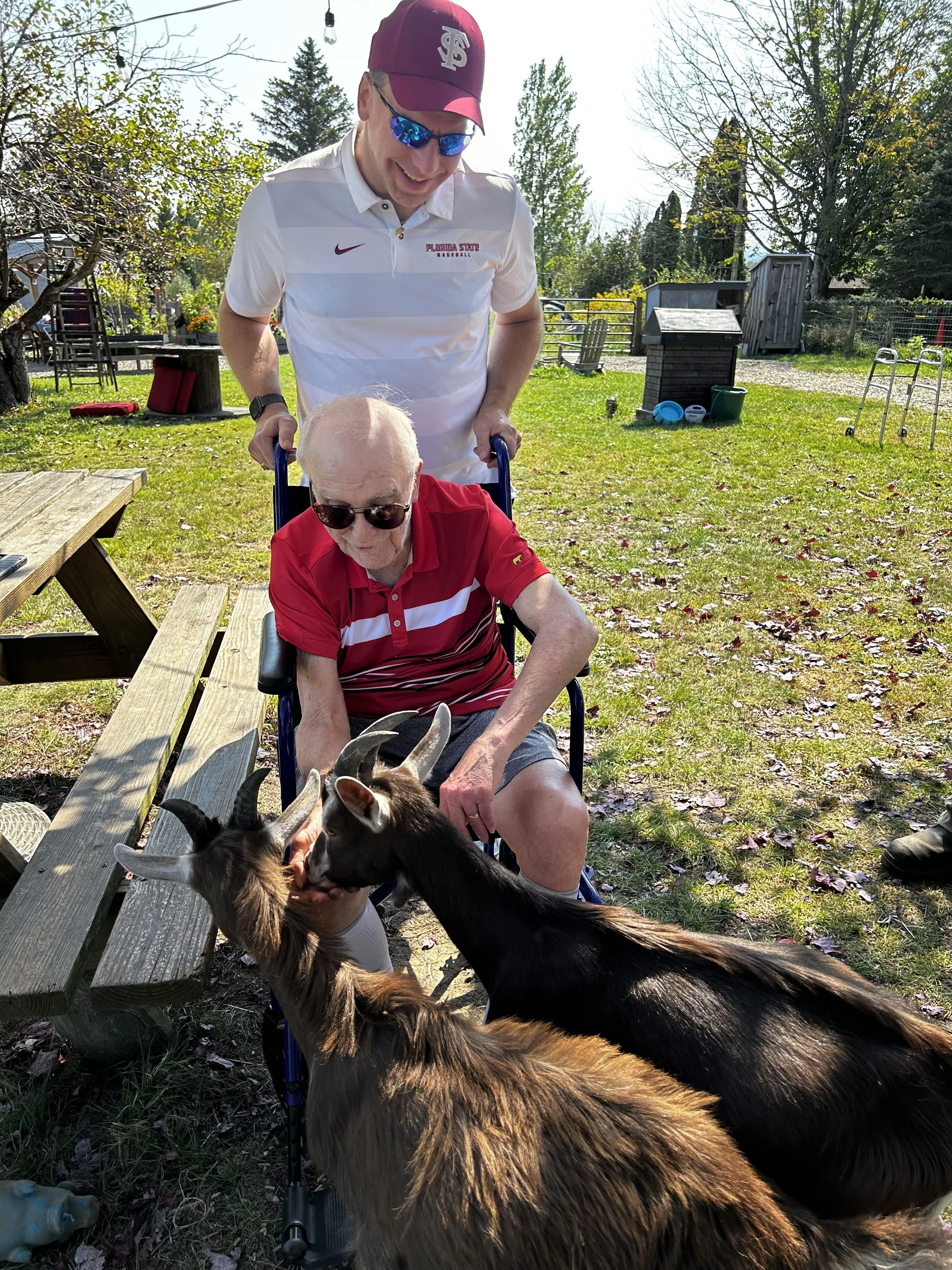 A man with a red cap, sunglasses, and a white Florida State baseball shirt pushing an elderly man in a wheelchair, while two dogs encounter the elderly man's lap outdoors on a sunny day with trees, grass, and outdoor furniture in the background.