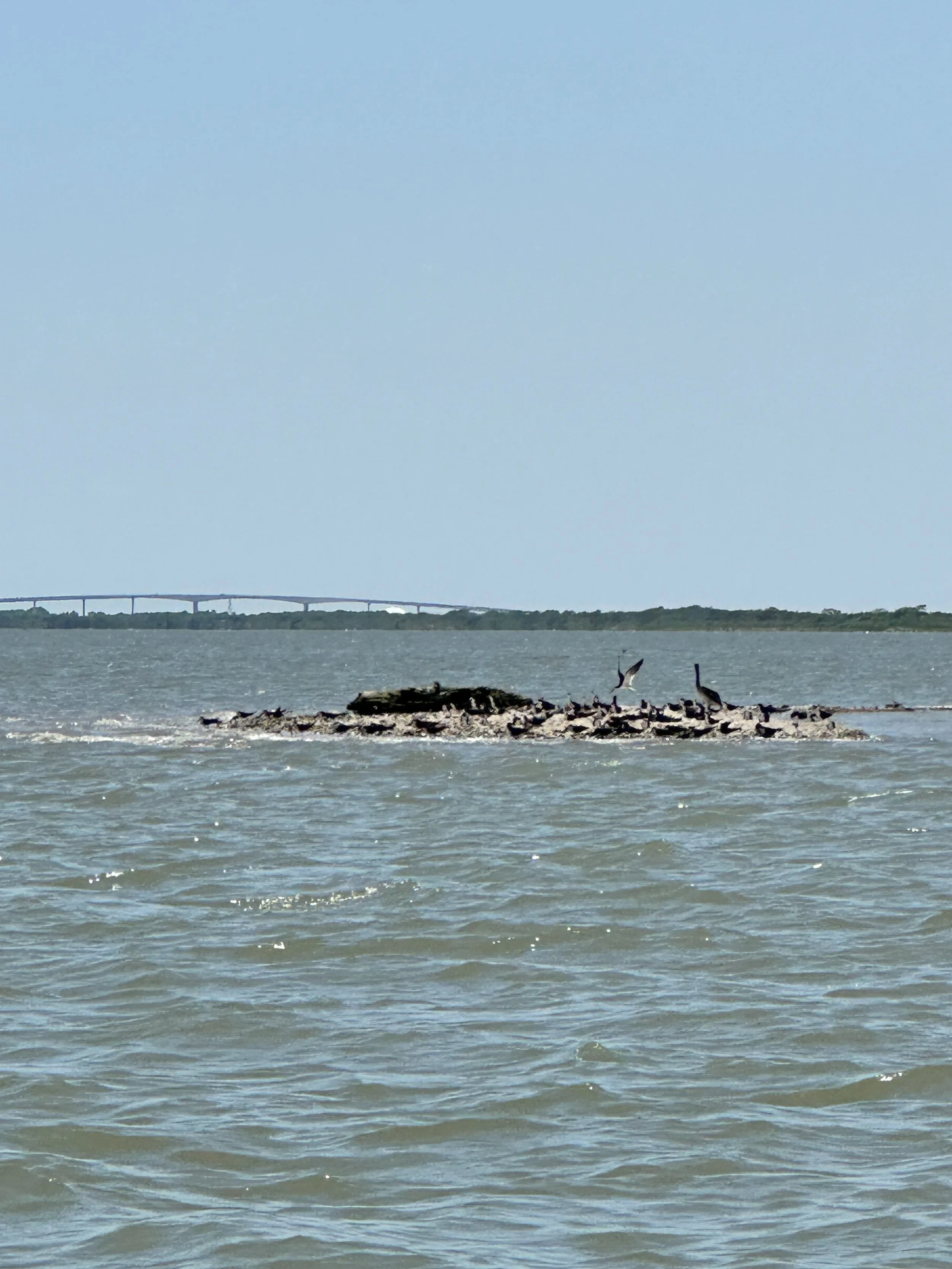 Old Gulf Cut Birds Island