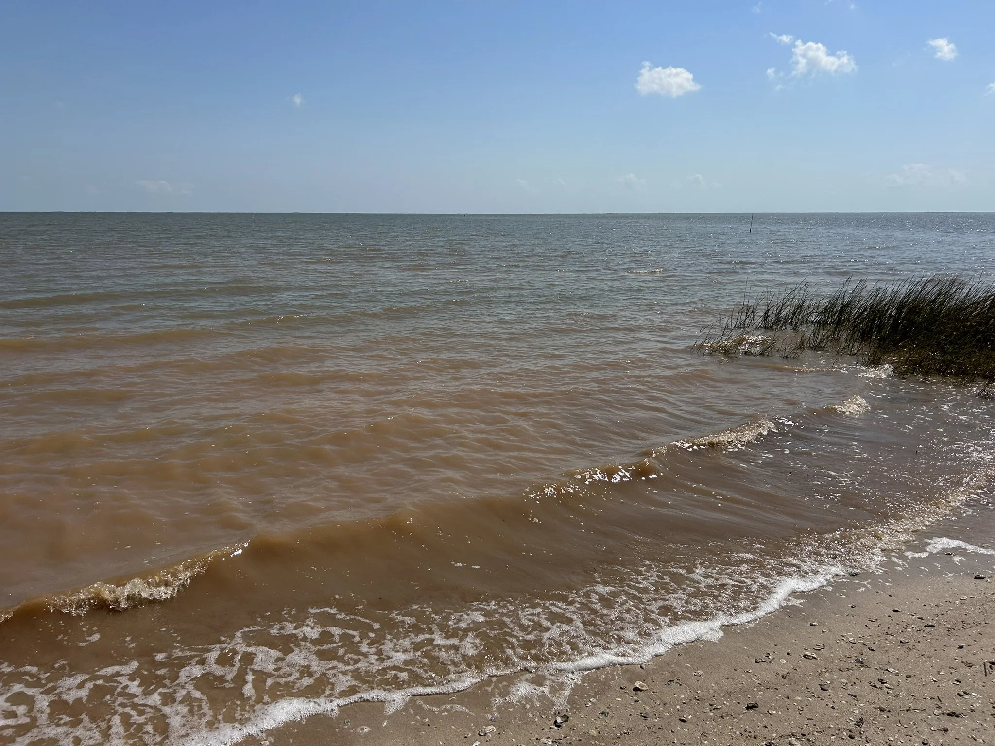 Carancahua Bay Community Reef