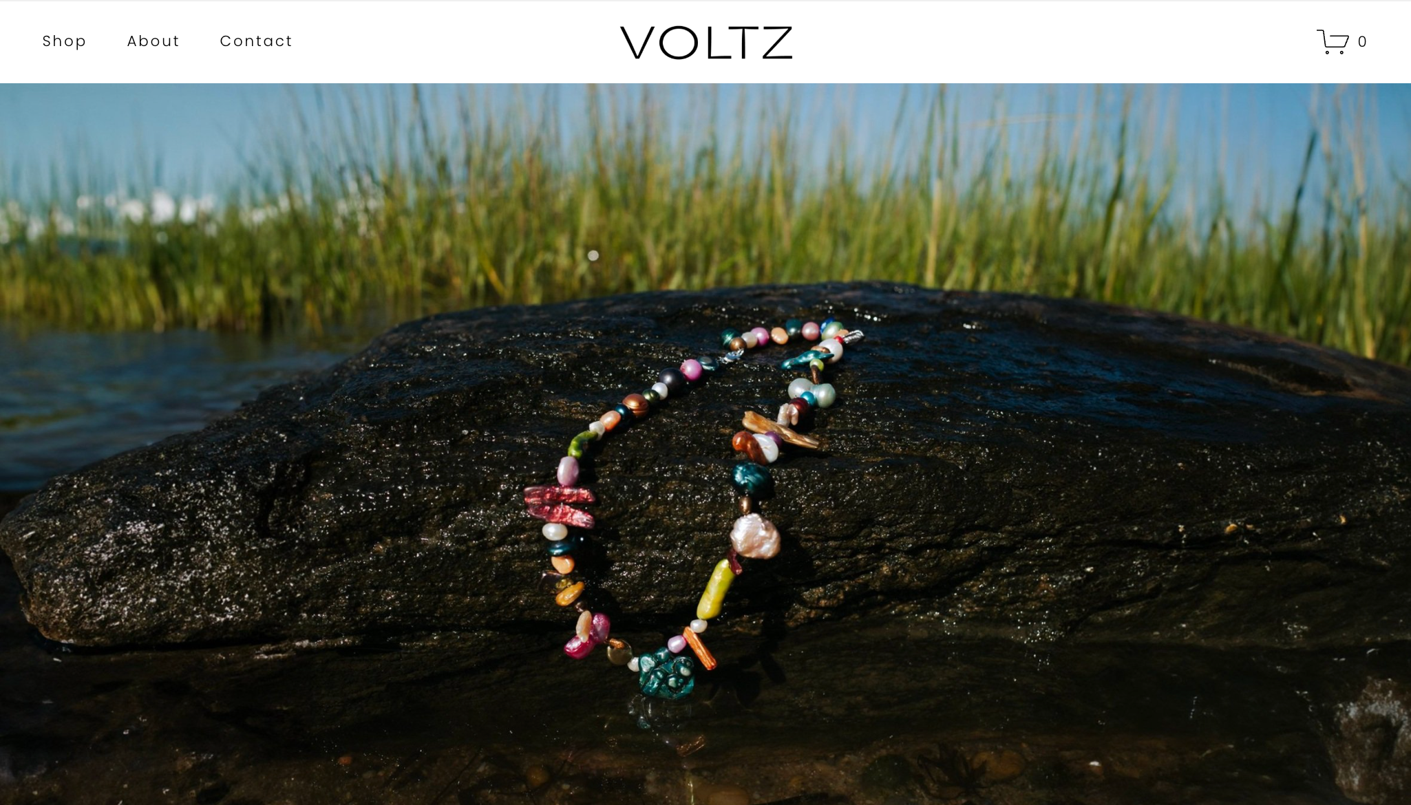 The Voltz Shop