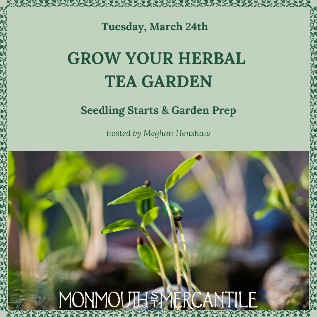 Grow Your Herbal Tea Garden: Seedling Starts & Garden Prep 