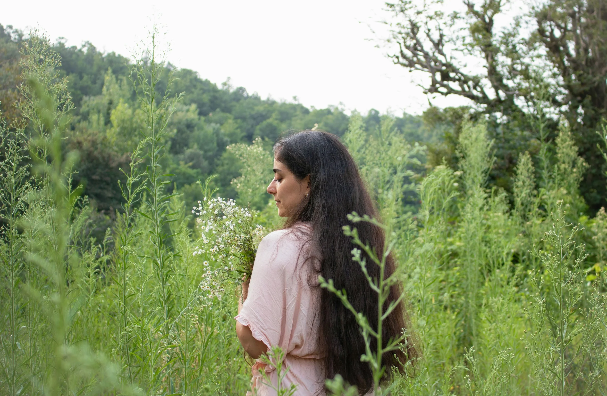 Build Your Home Apothecary: Herbs for Aging Support