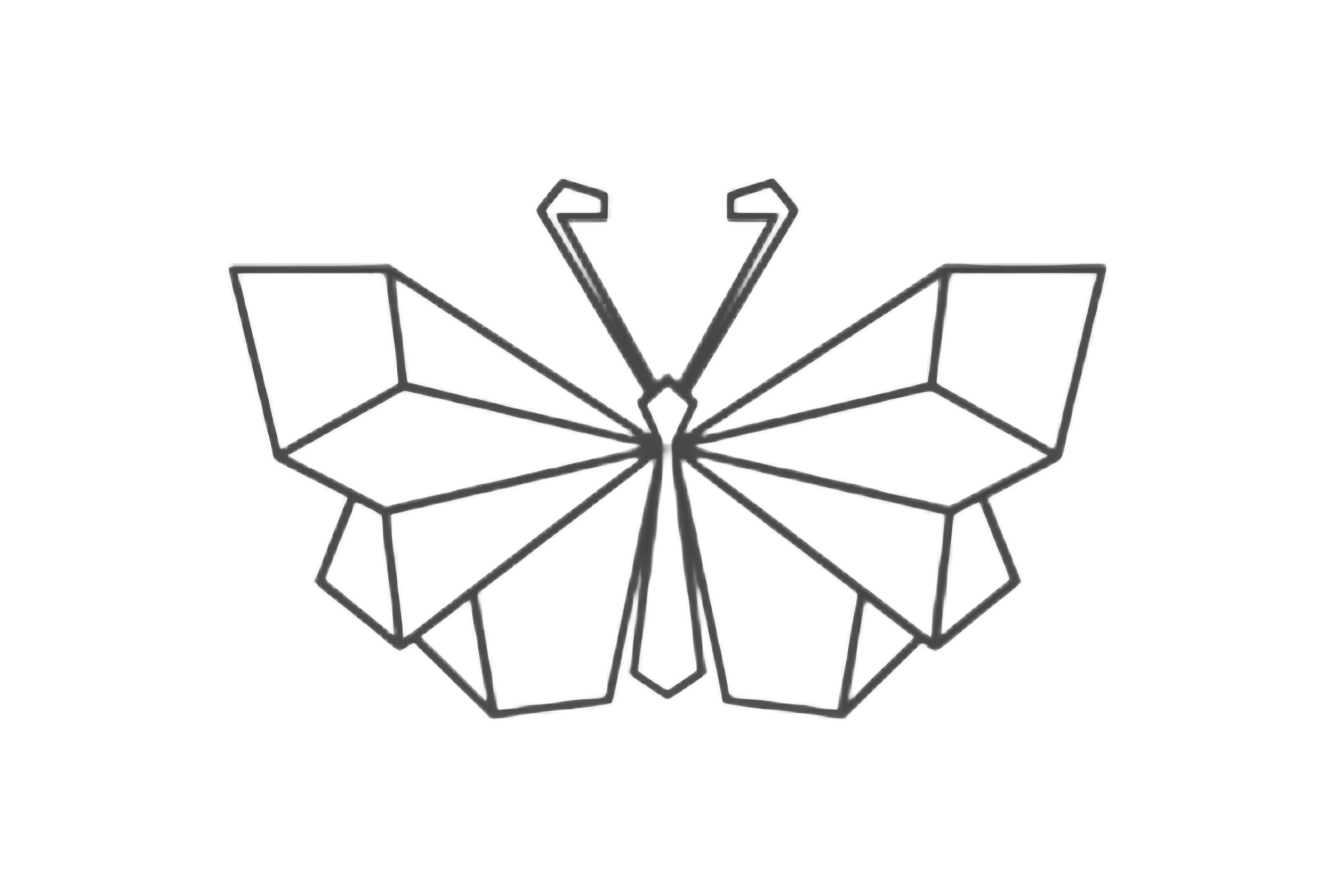 Butterfly FJA Jewelry