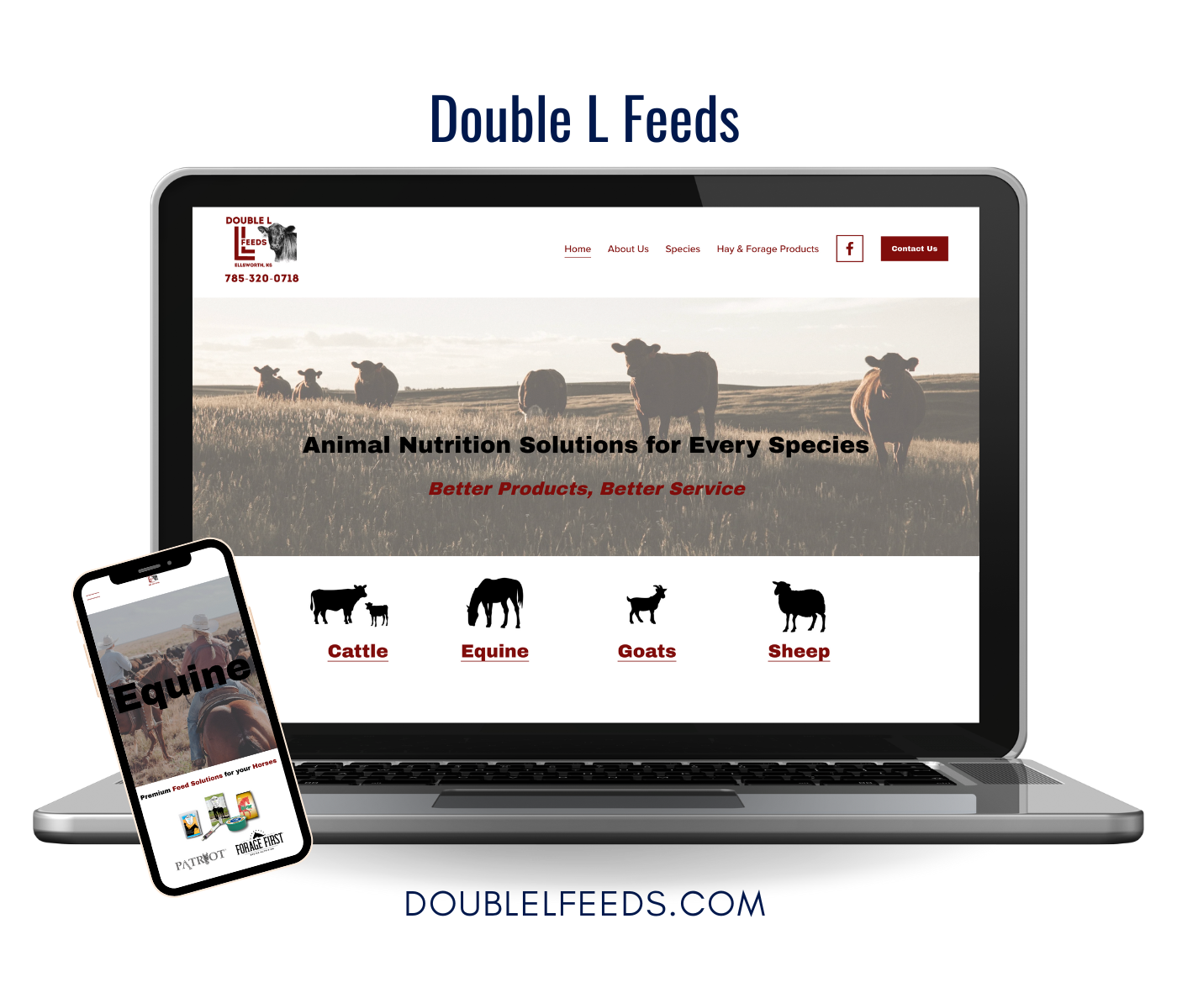 Feed Business Website Marketing
