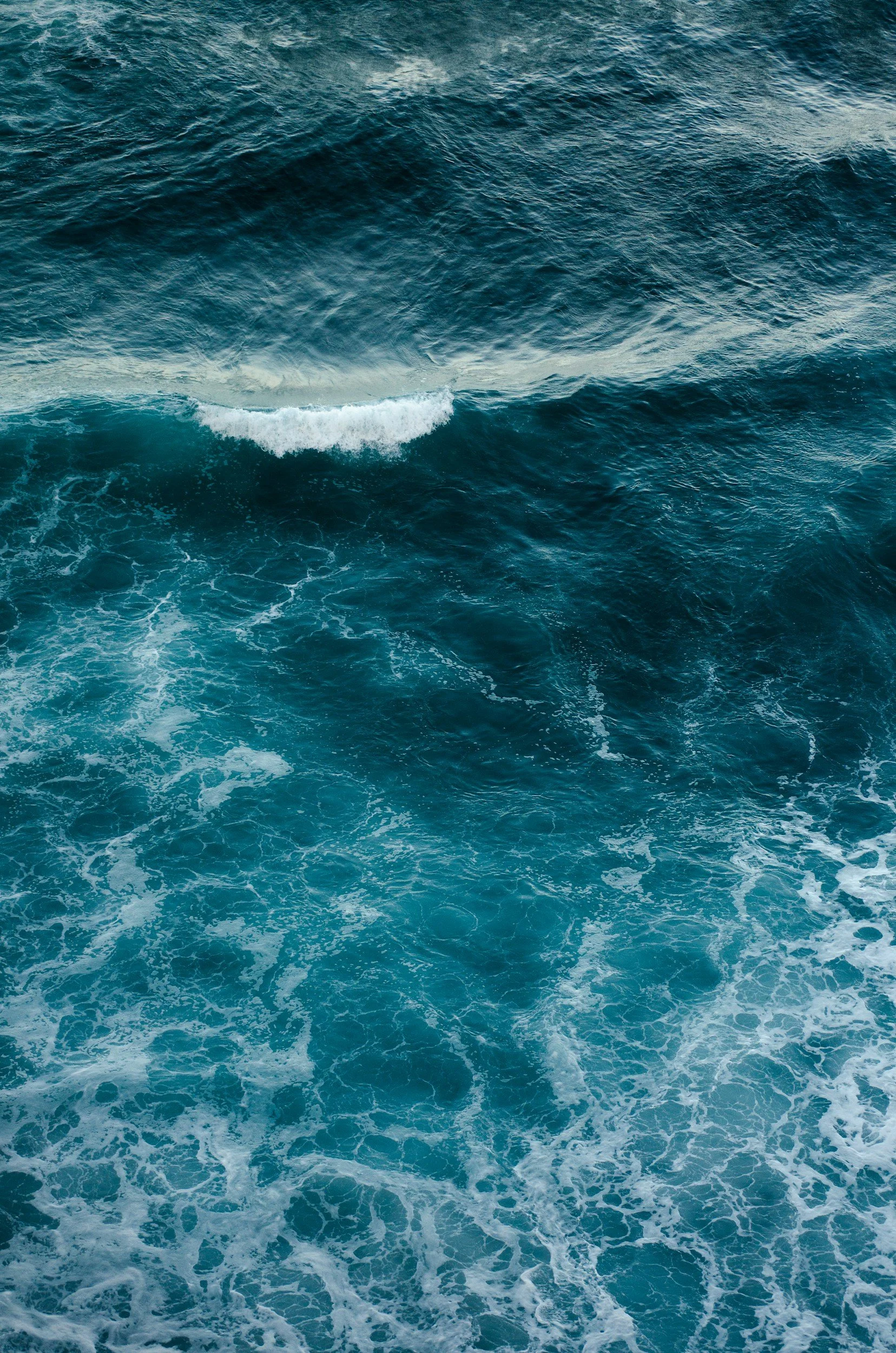 unsplash-image-hF00owlYoxs.jpg