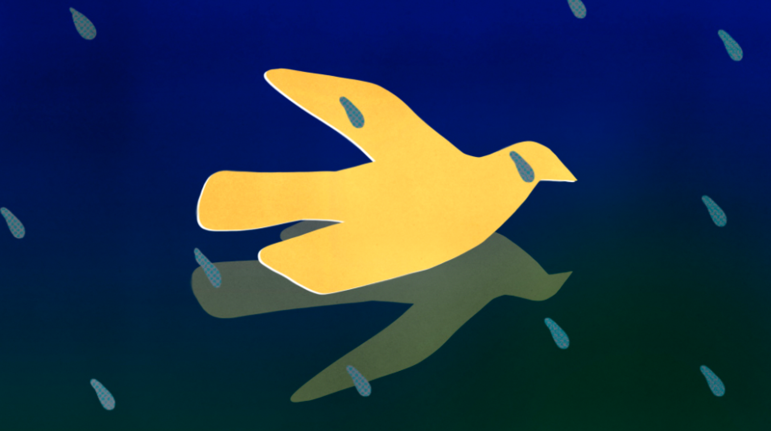 Screenshot 2024-06-27 at 1.23.06 PM 1.png