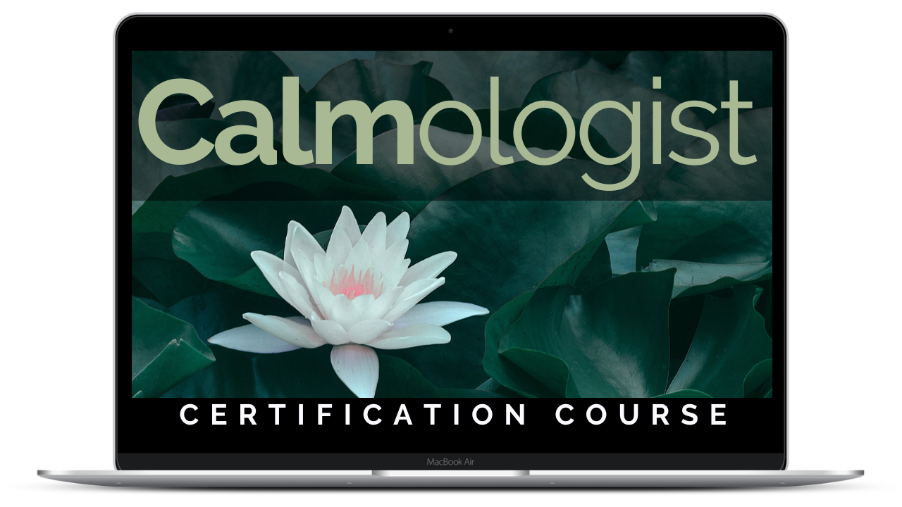 Calmologist Laptop Image.png