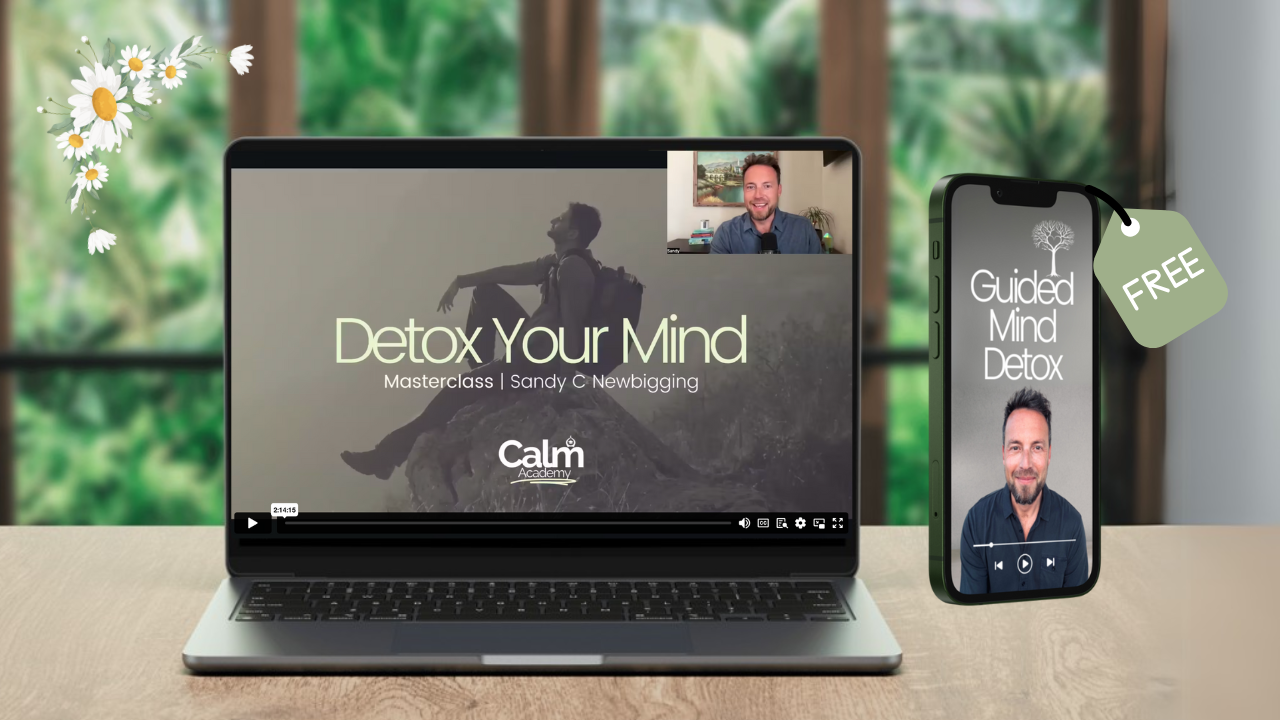 Detox Your Mind Laptop + Guided MD Gift Image.png