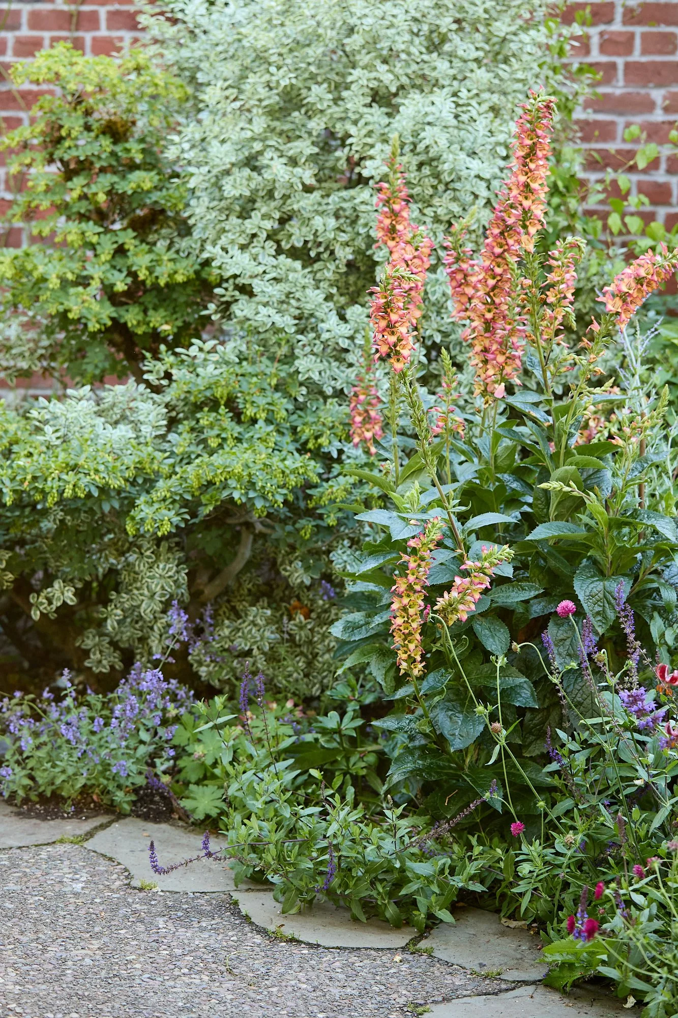 MercerGarden-May2026_A7A0382.jpg