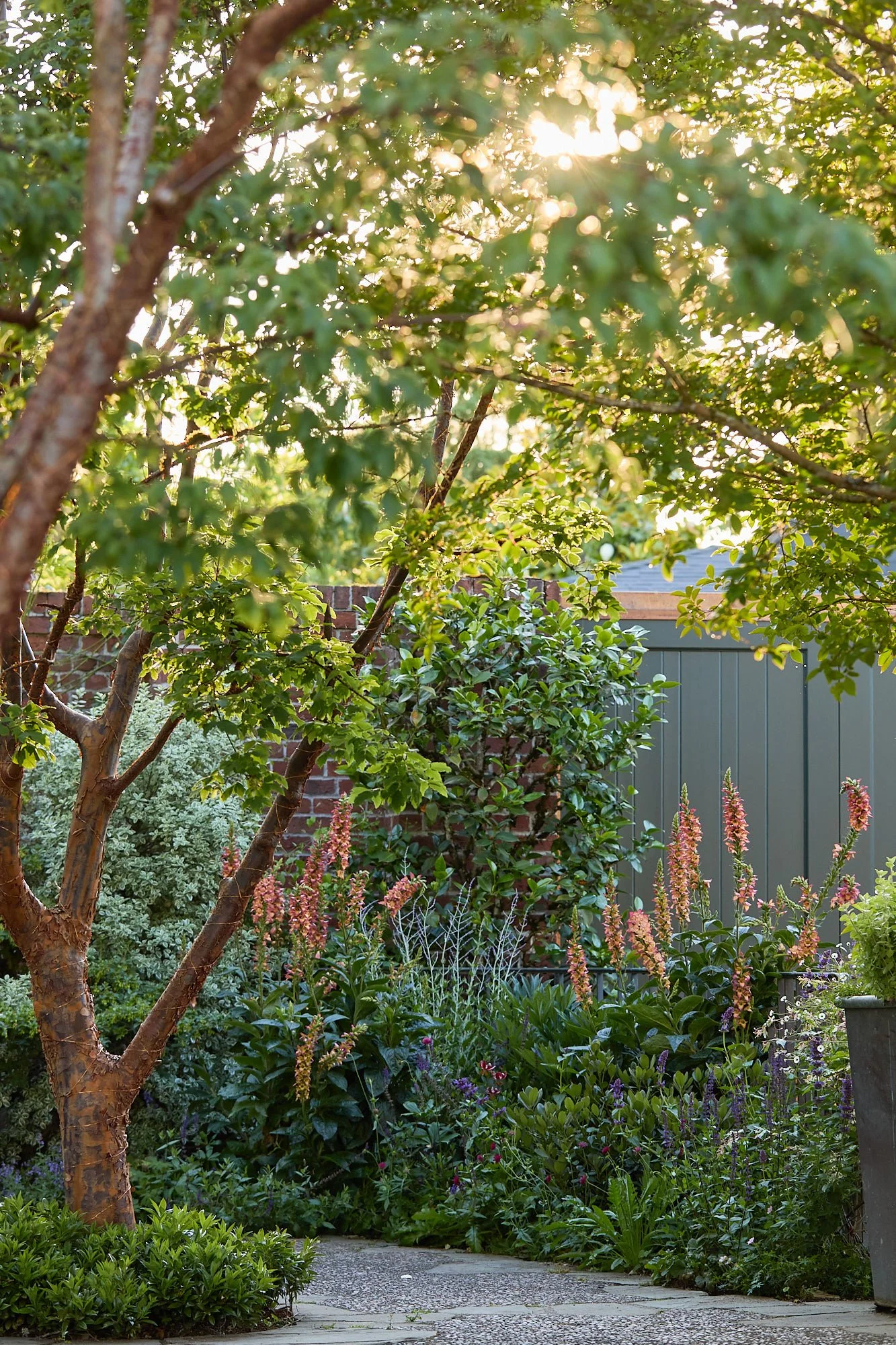 MercerGarden-May2026_A7A0354.jpg
