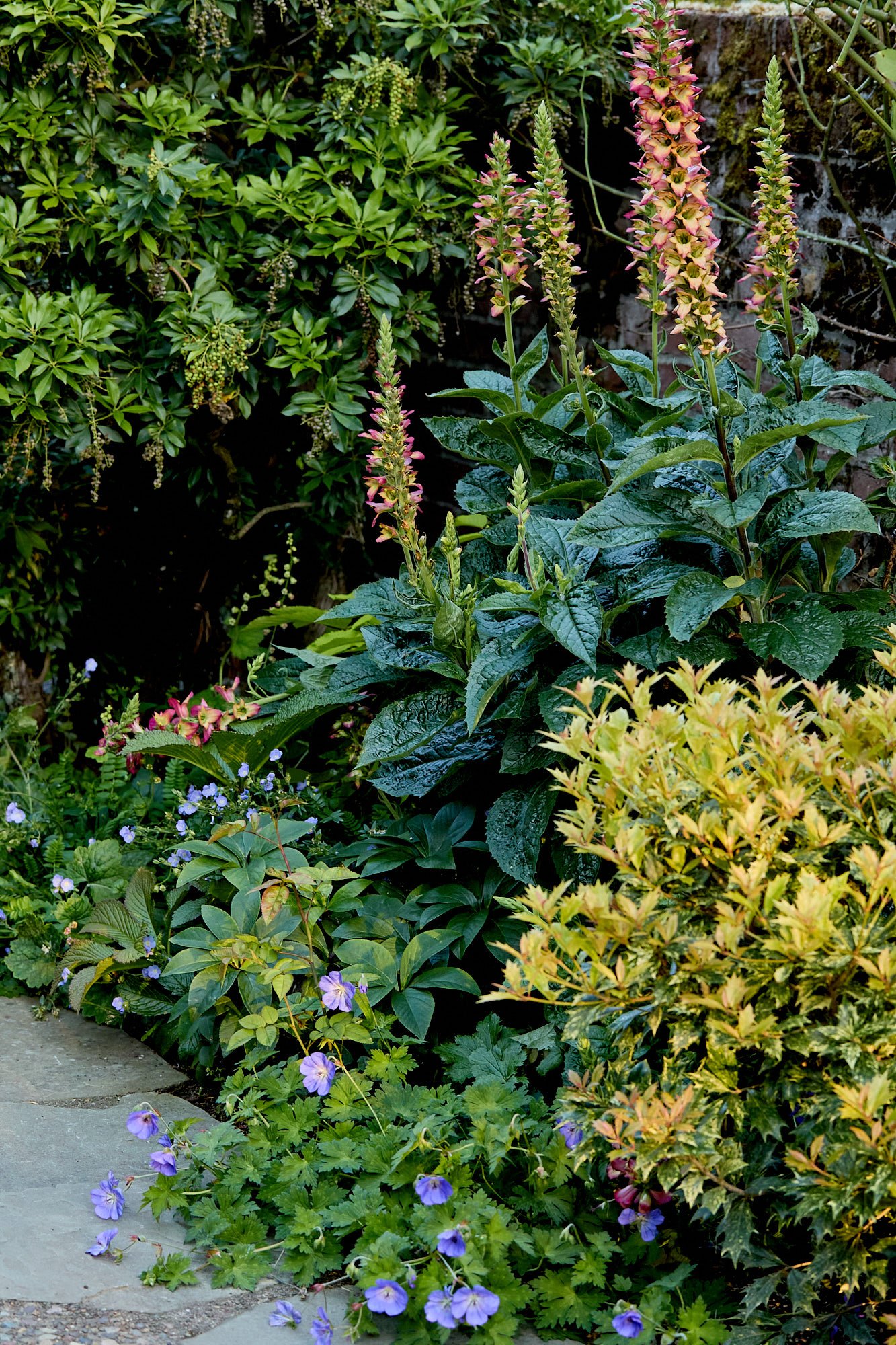 MercerGarden-May2026_A7A0449.jpg