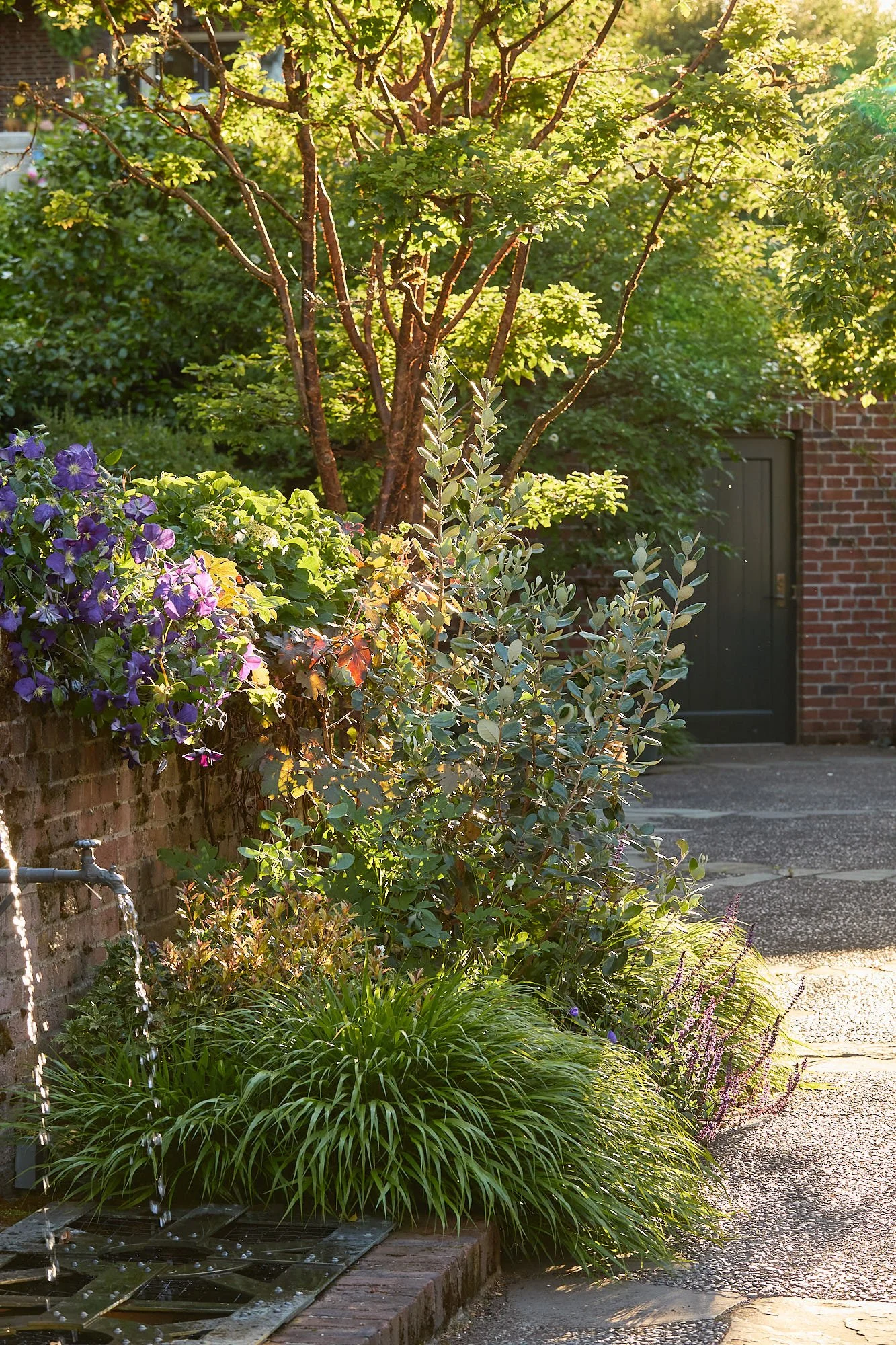 MercerGarden-May2026_A7A0305.jpg