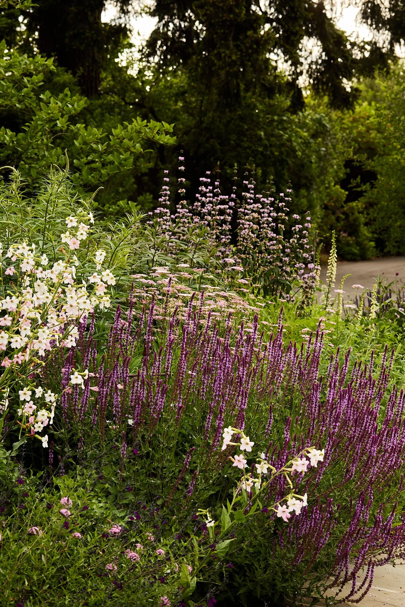 MercerGarden-May2026_A7A0133.jpg
