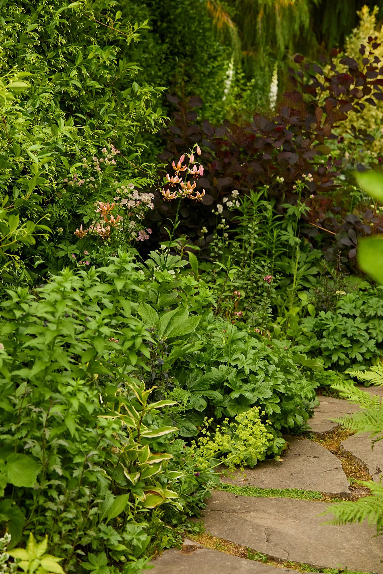 MercerGarden-May2026_A7A0263.jpg