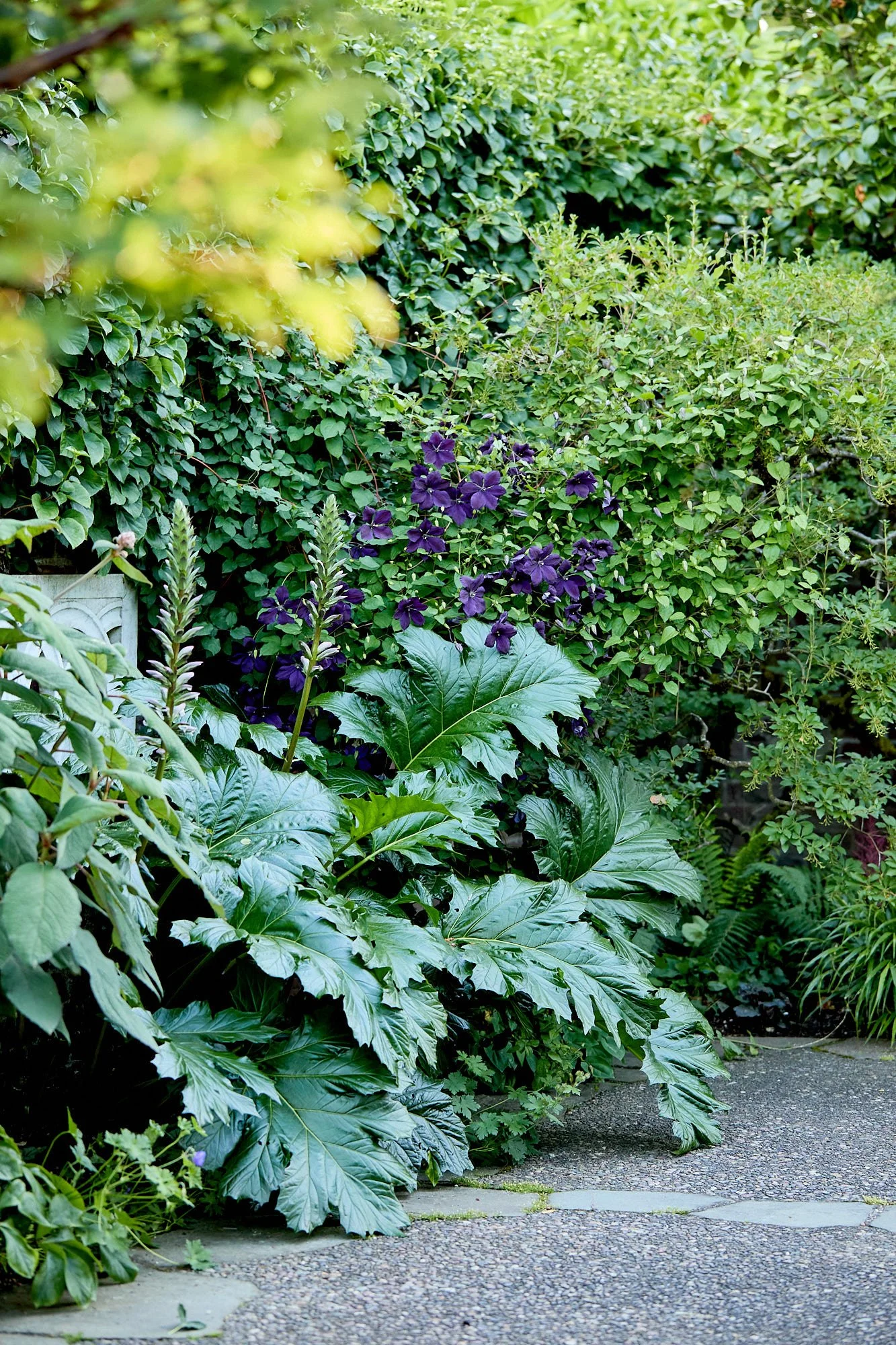 MercerGarden-May2026_A7A0458 1.jpg
