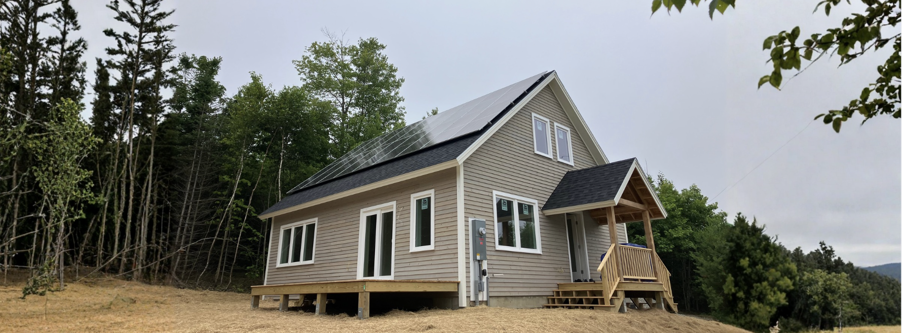 osprey banner image.png