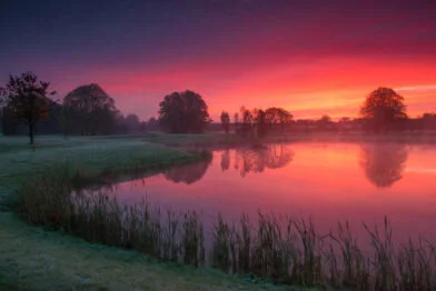 Modest! Golf Back on Board for 2018 NI Open