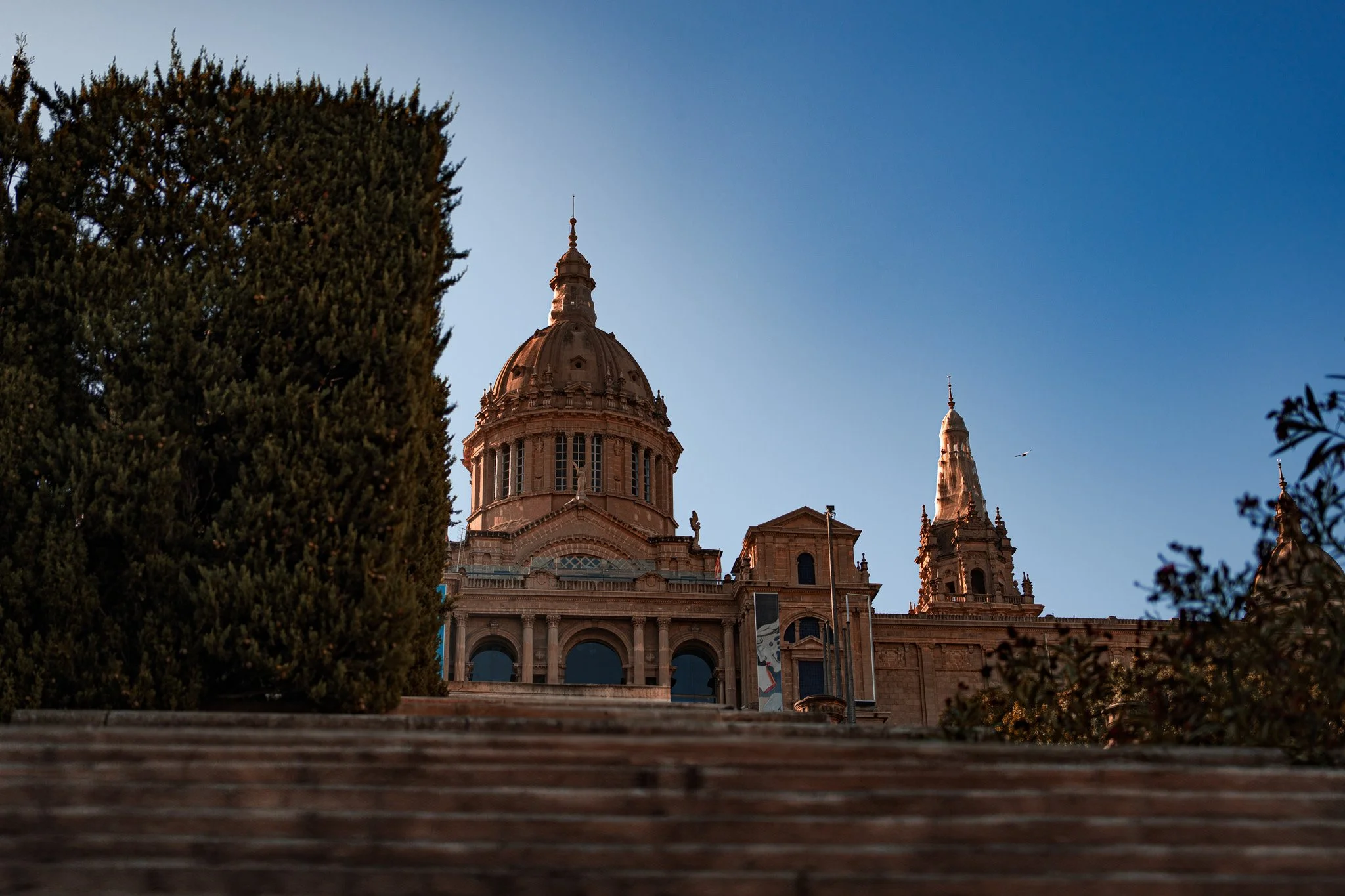 DSC00940.jpg