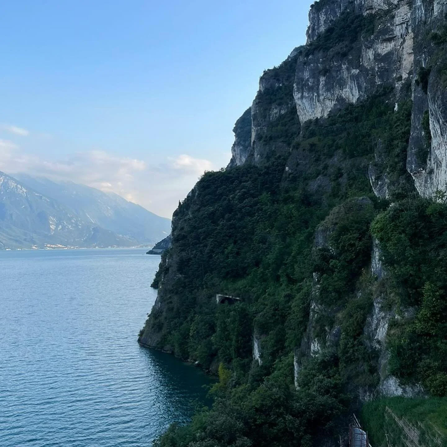 Beyond grateful 🇮🇹 🍕 🤌 &hearts;️ beautiful humanoids, places and 🦢 .  @katom_katom_